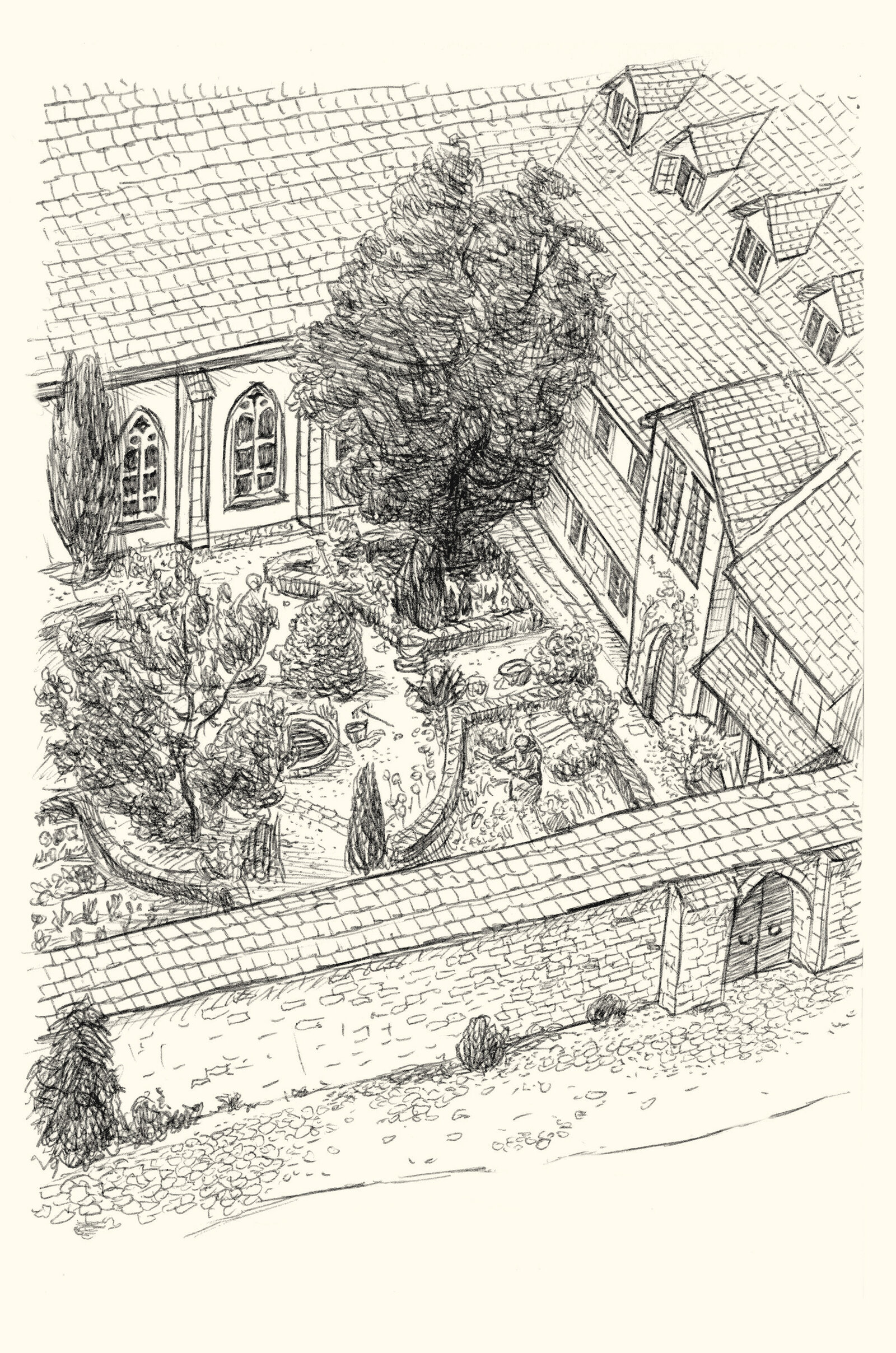 oculus-illustration-buch-weihnachten-lagerloef-christrose-zeichnung-klostergarten