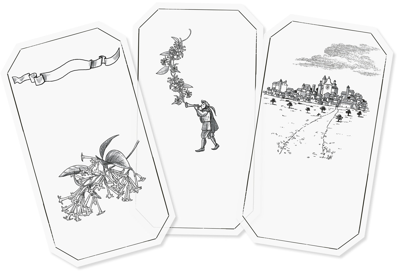 Oculus-illustration-arquinesia-parfum-verpackungsdesign-vintage-karten-jasmin