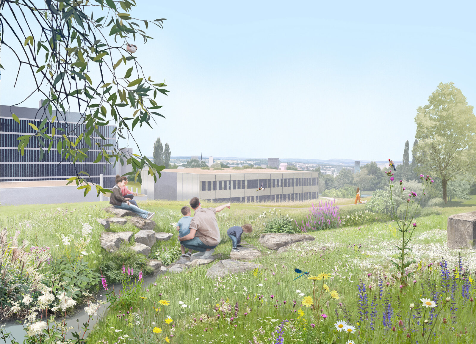 oculus-illustration-architektur-visualisierung-biodiversitaet-irchelpark-sanierung-spitalerbach