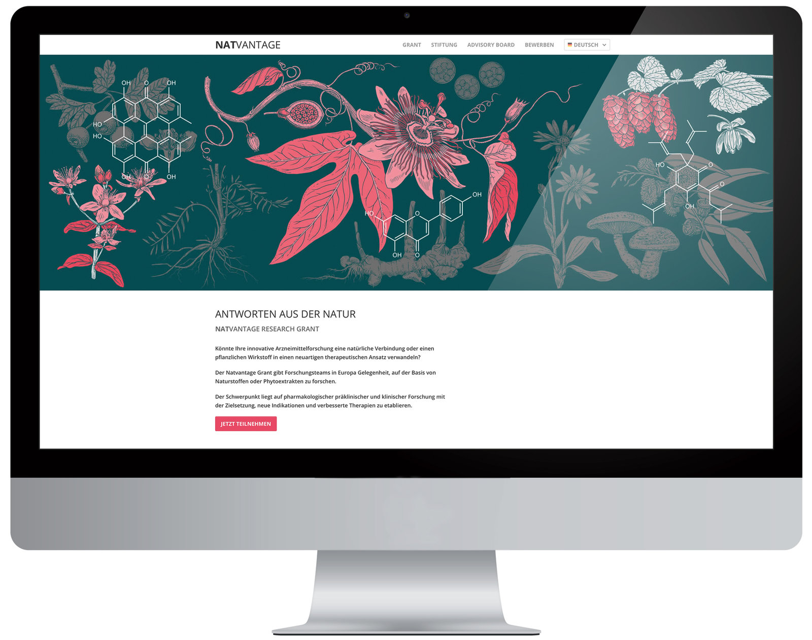 oculus-illustration-banner-heilpflanzen-wirkstoffe-site