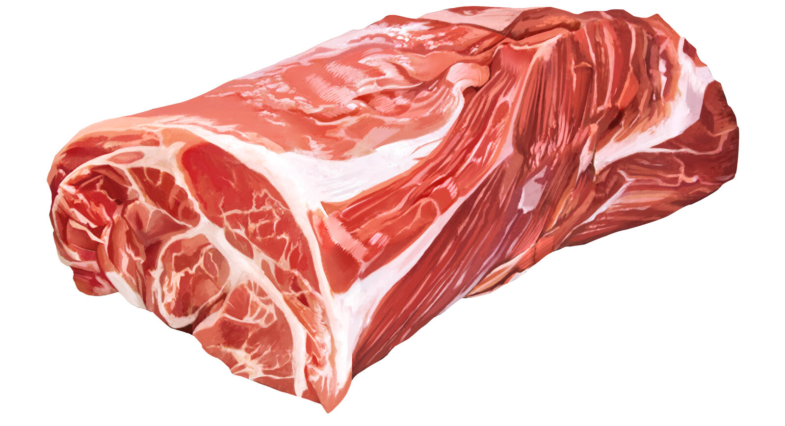 oculus-illustration-bianchi-beef-cuts-plakat-hals