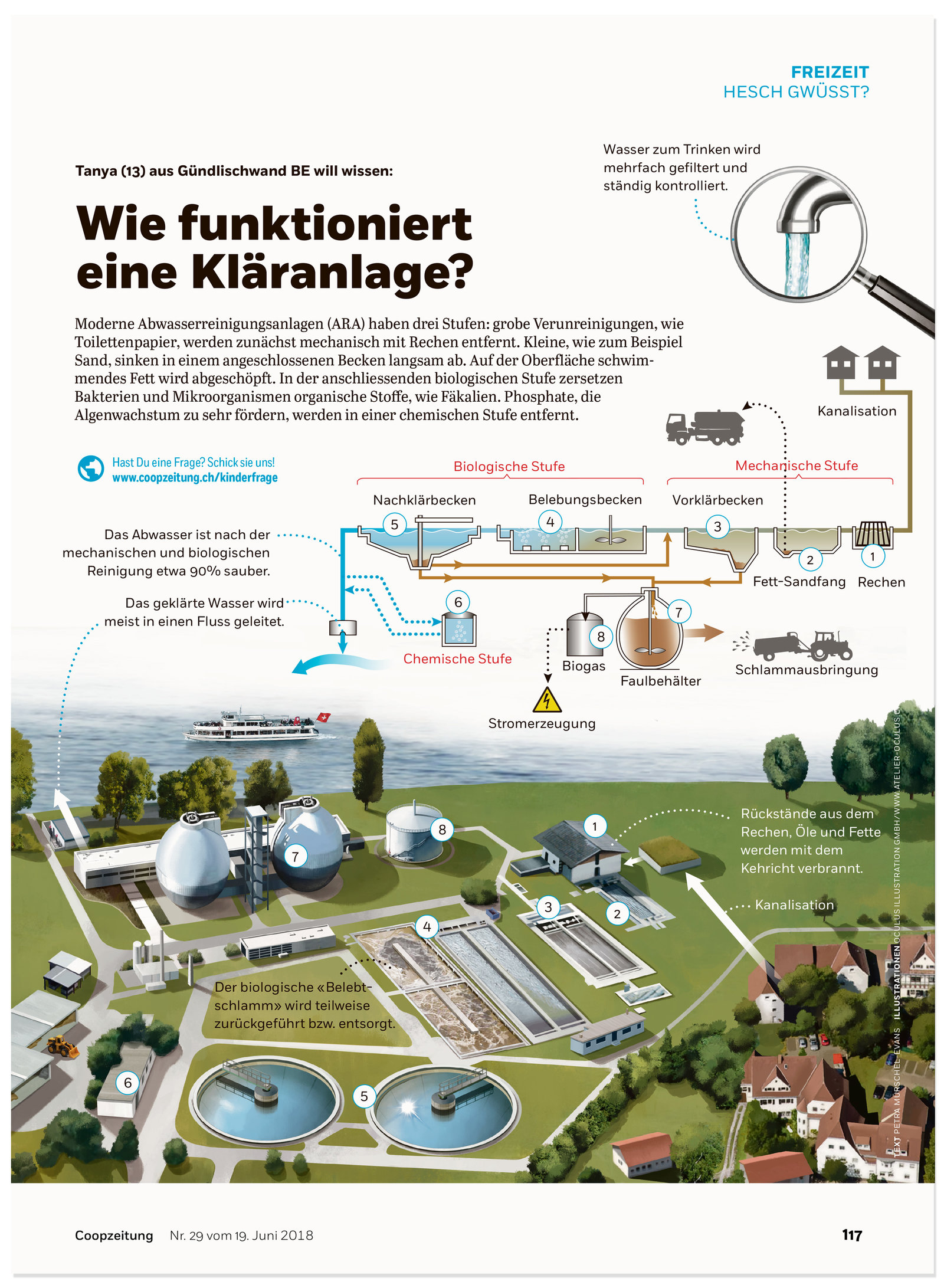 oculus-illustration-coopzeitung-hesch-gwuesst-klaeranlage