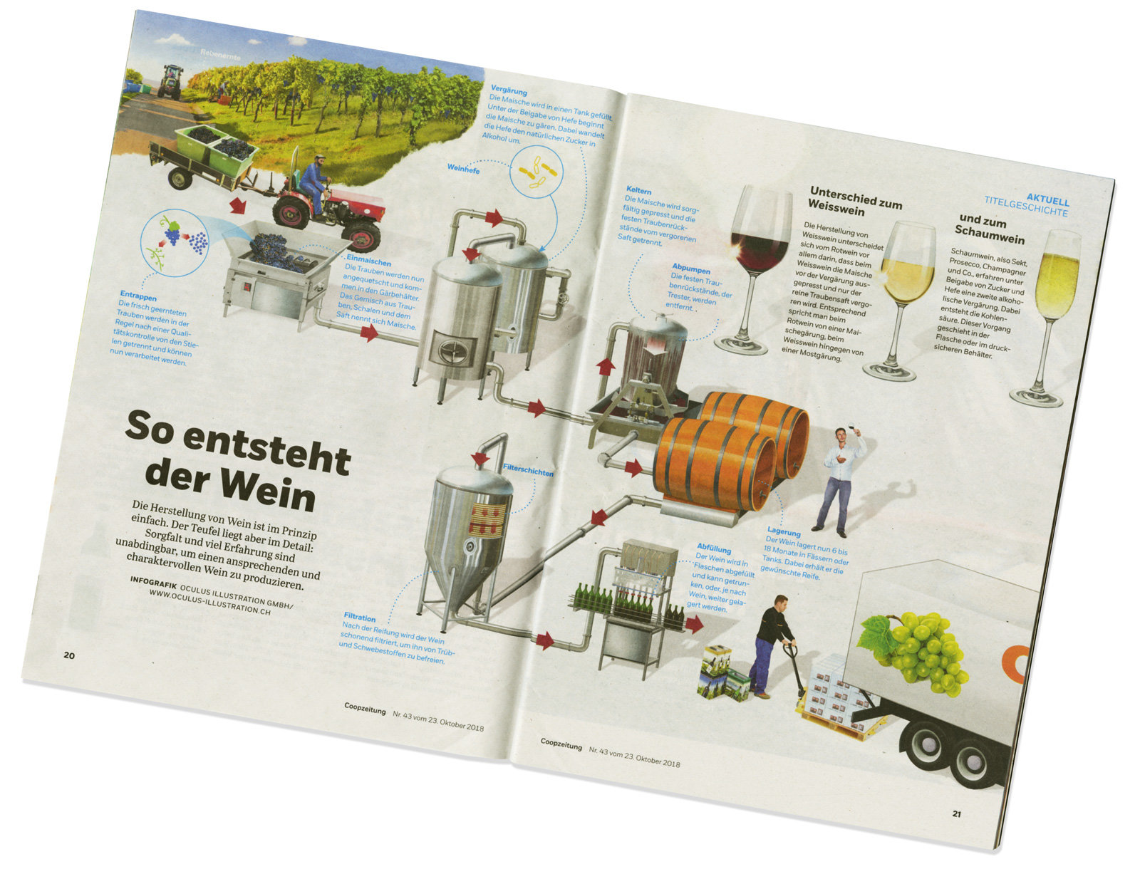 oculus-illustration-coopzeitung-infografik-wein-herstellung-print