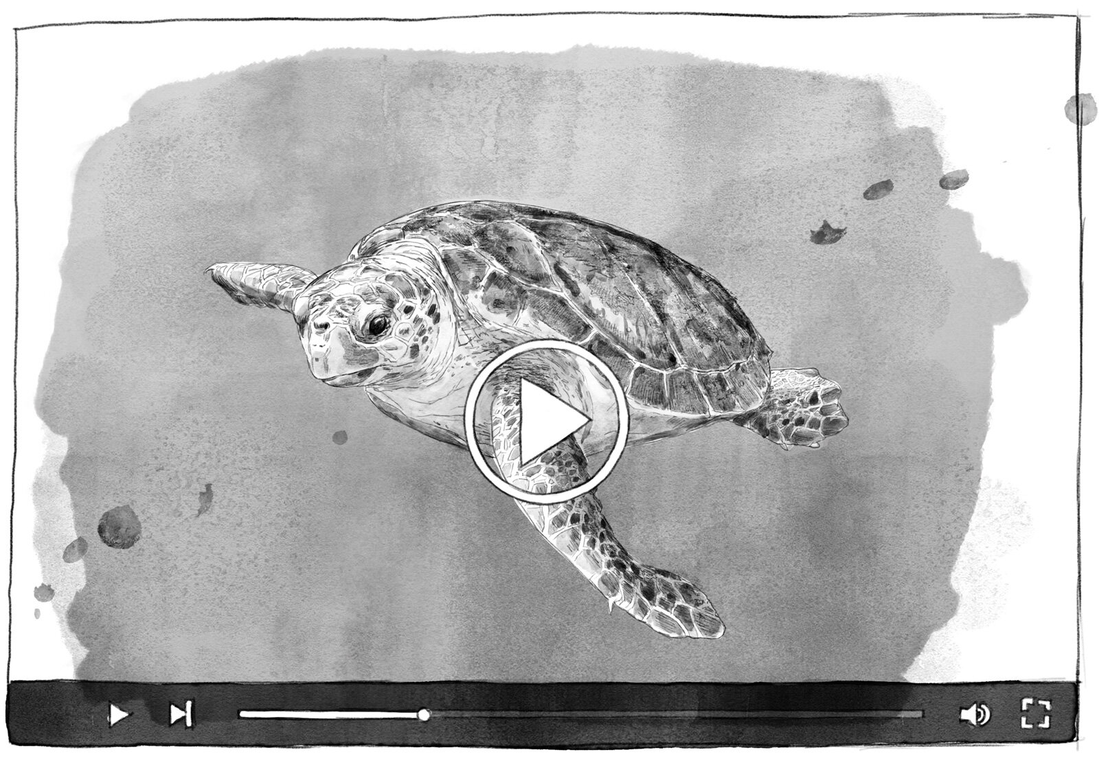 oculus-illustration-cs-keyvisual-filmstill-schildkroete