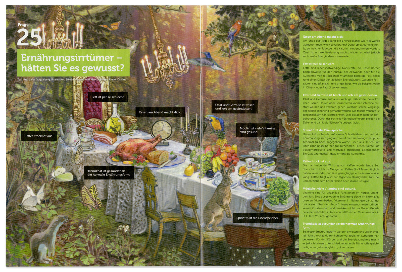 oculus-illustration-css-ernaehrung-magazin