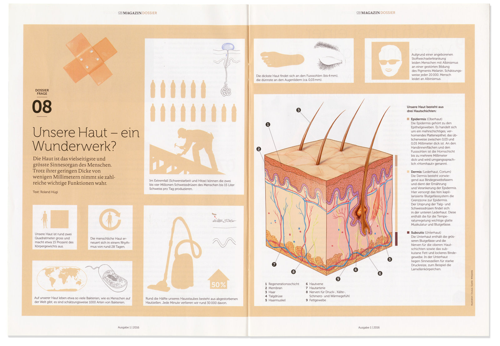 oculus-illustration-css-haut-01