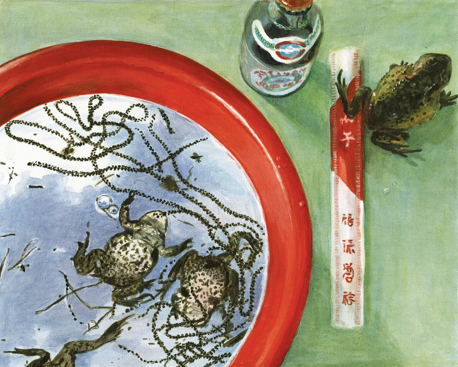 oculus-illustration-du-food-stilleben-kroete