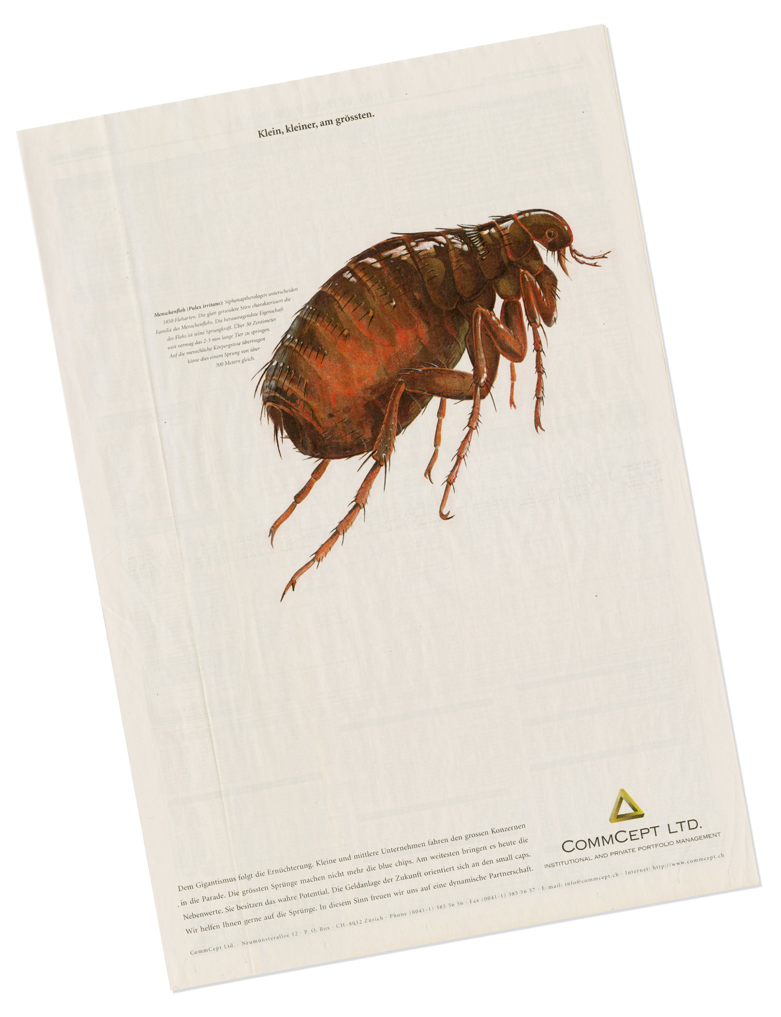 oculus-illustration-floh-inserat_nzz