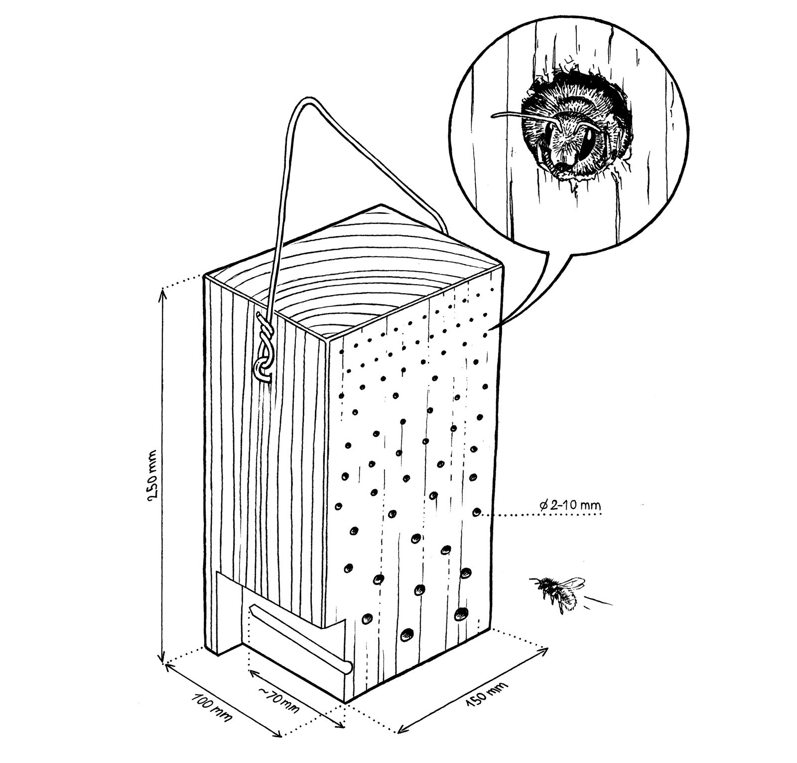 oculus-illustration-greenpeace-handbuch-zeichnung-03_