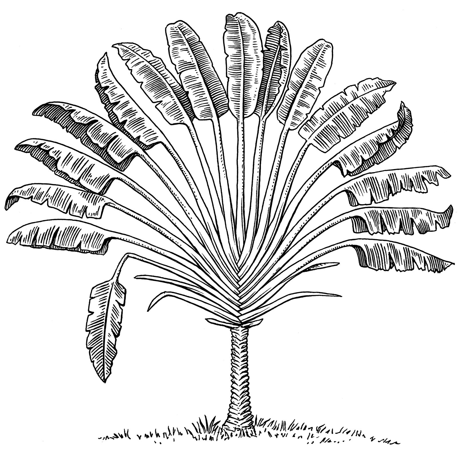 Fantree Logo