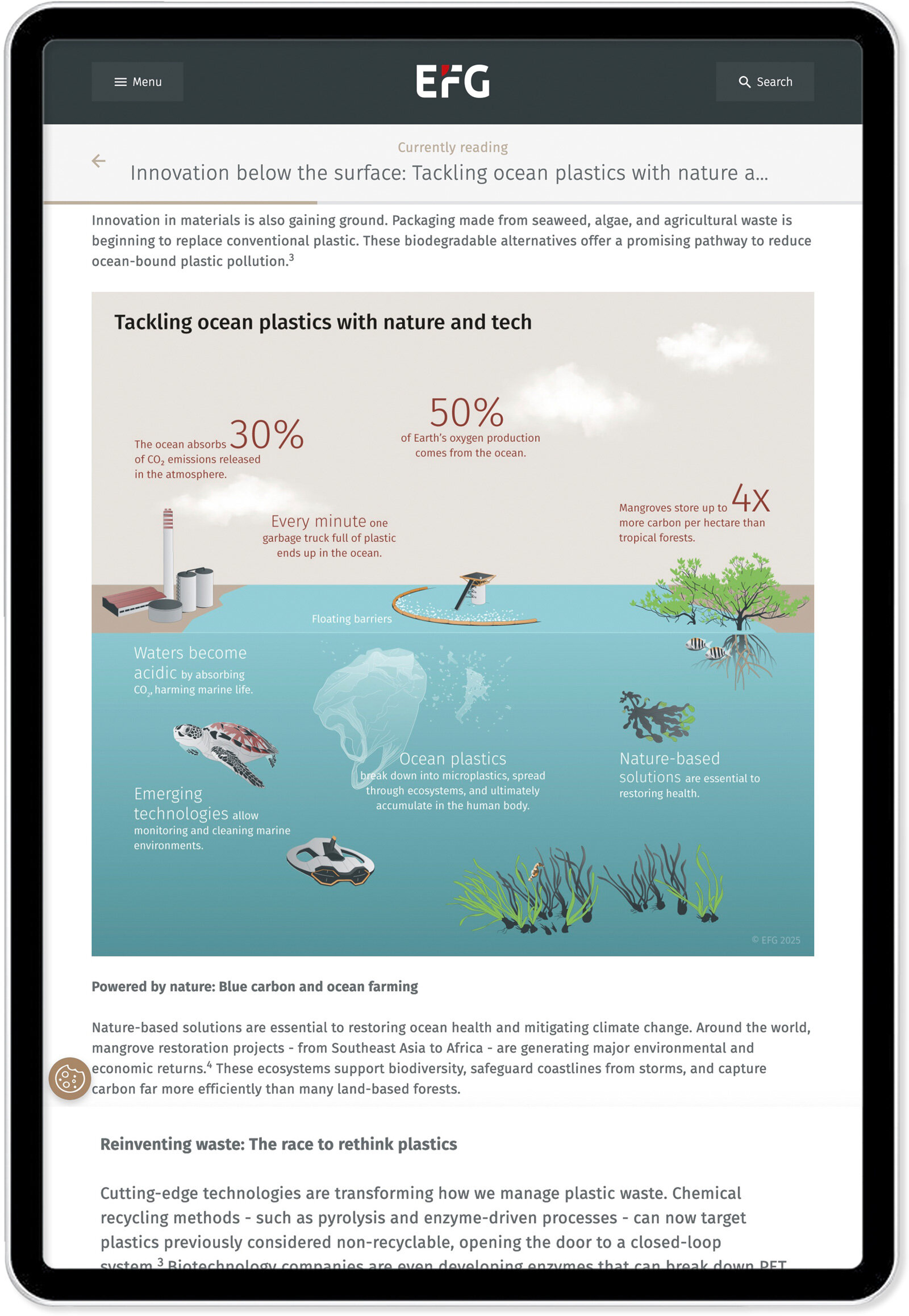 oculus-illustration-infografik-ocean-plastics-efg-screen