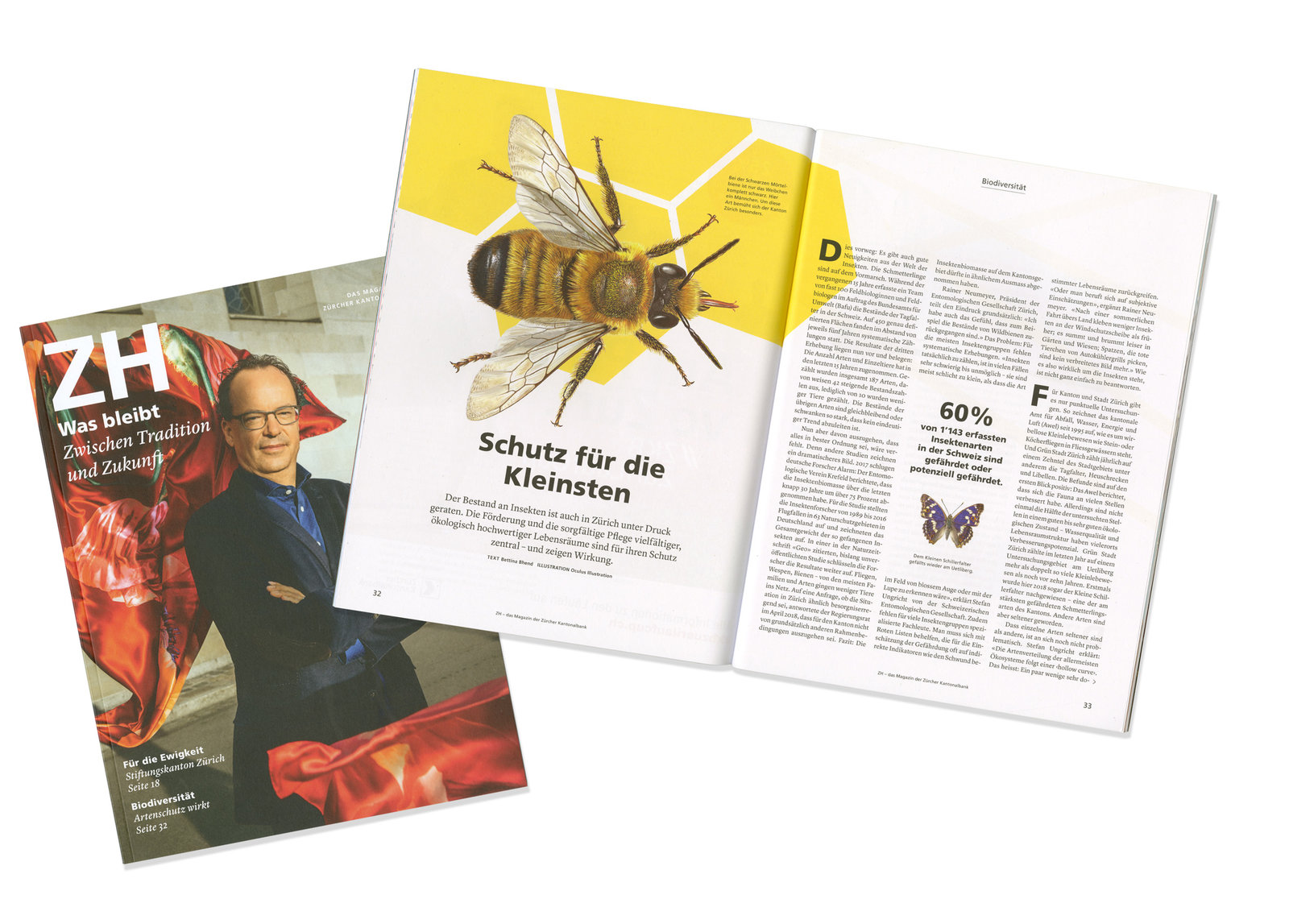 oculus-illustration-insekten-magazin