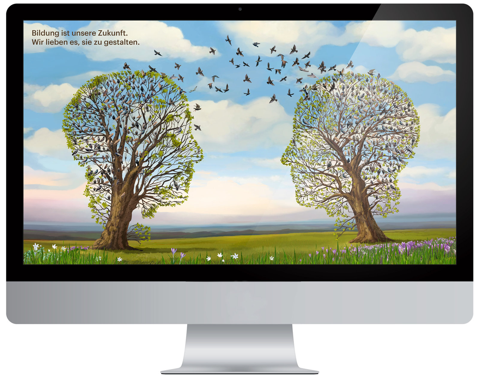 oculus-illustration-key-visual-migros-klubschule-site