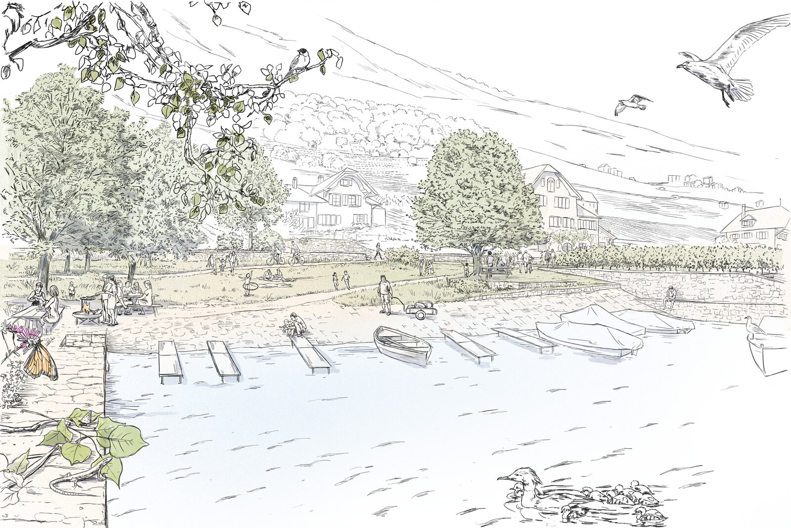 oculus-illustration-landschaftsarchitektur-visualisierung-zeichnung-sbb-trassee-bielersee-schafis