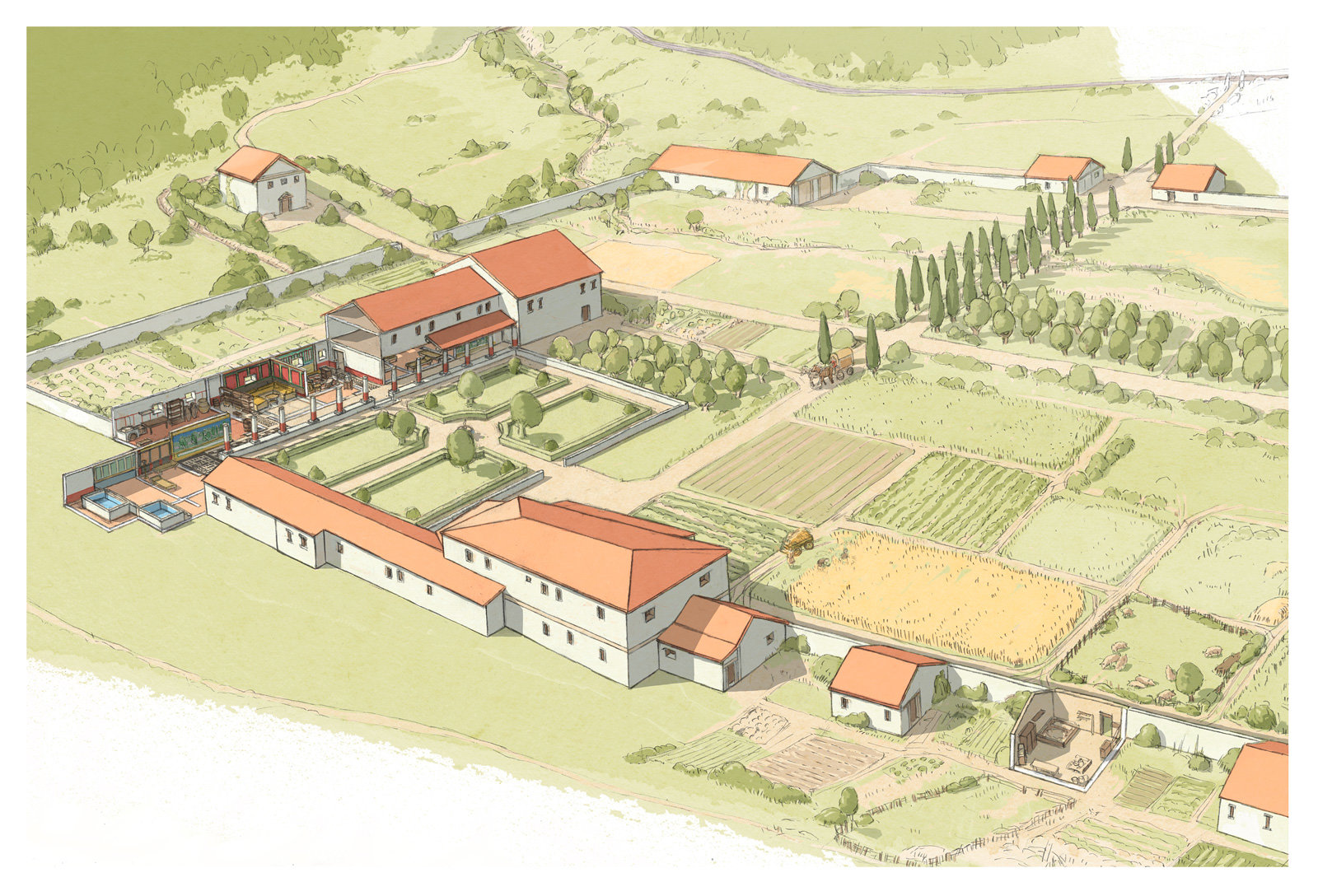 oculus-illustration-lehrmittel-latein-rekonstruktion-03