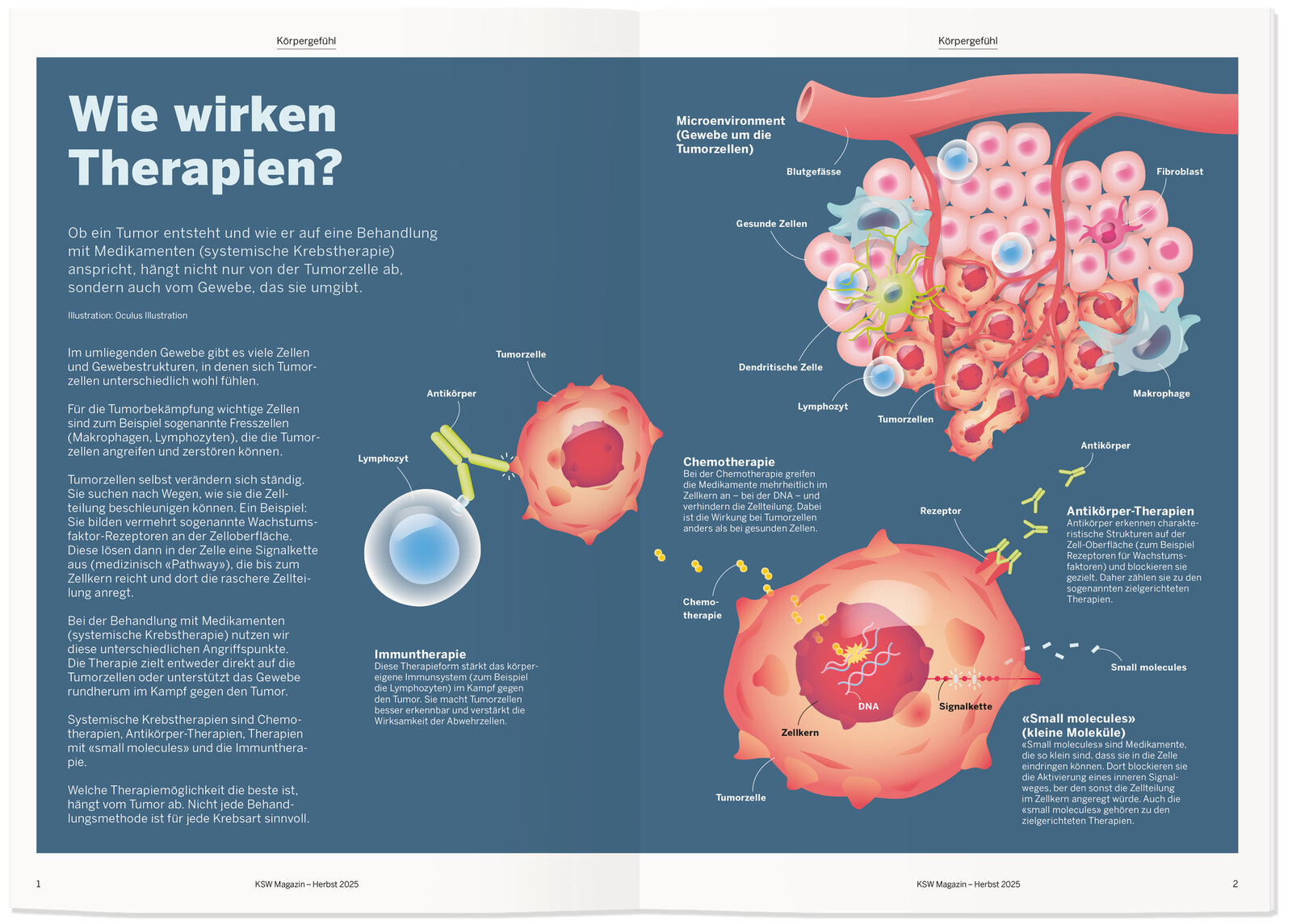 oculus-illustration-medizin-infografik-zellen-krebs-therapien-ksw-magazin