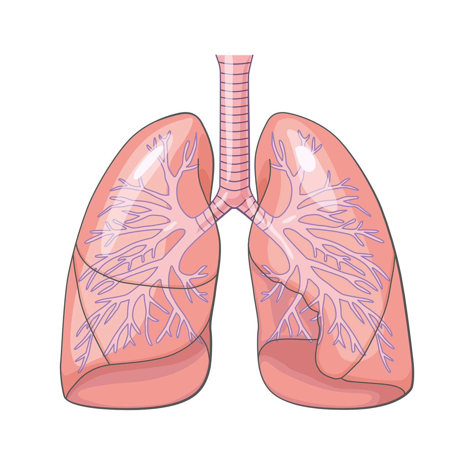 Medizinische Illustrationen AstraZeneca