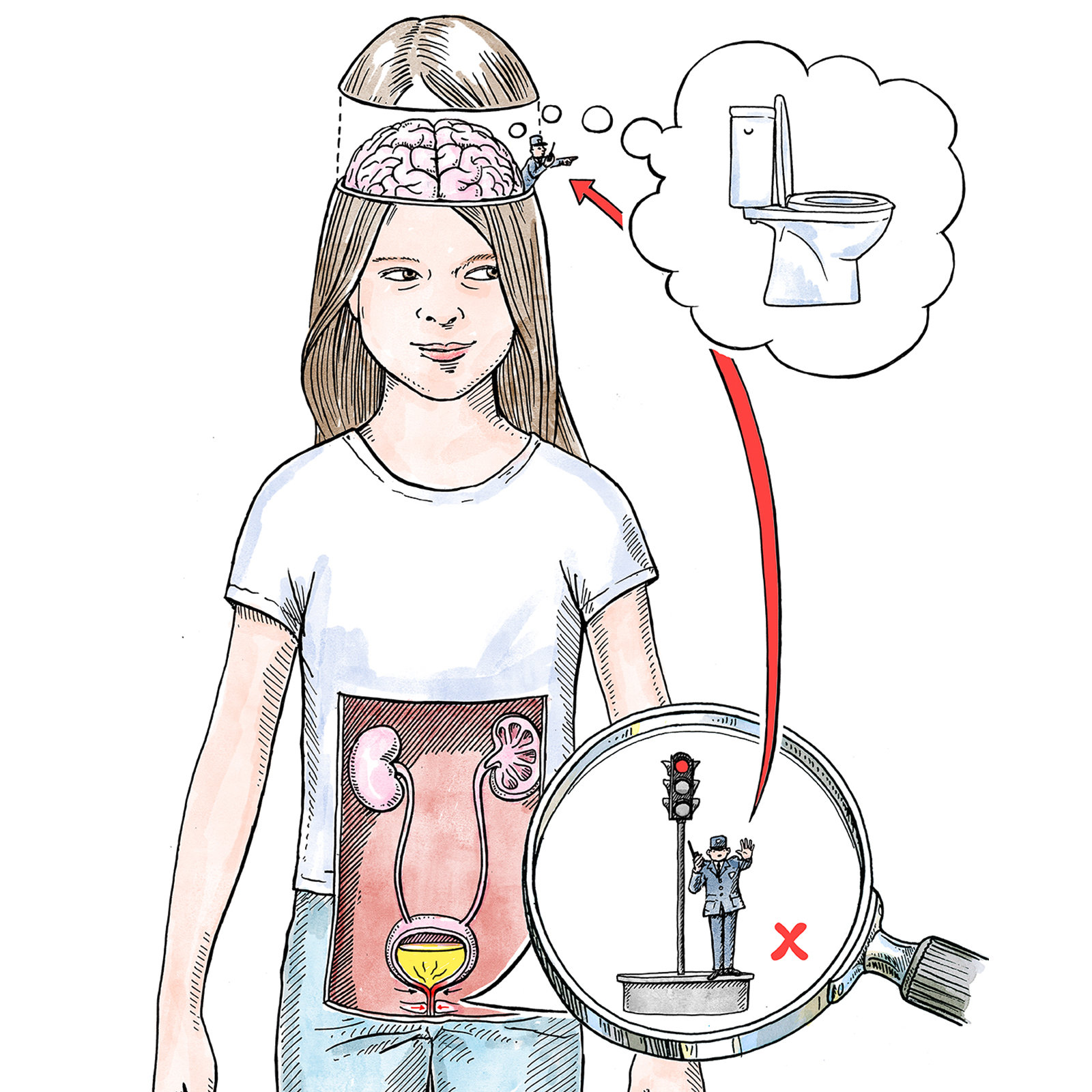 Medizinische Illustrationen