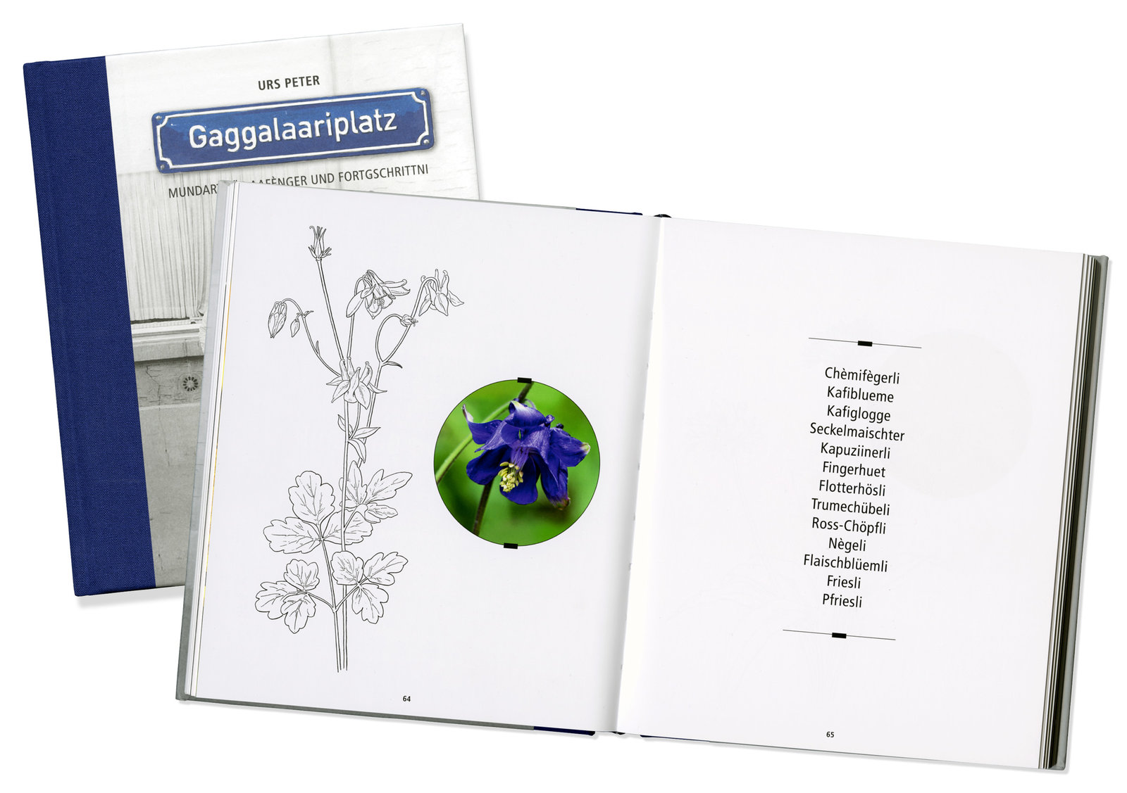 oculus-illustration-mundart-woerterbuch-gaggalaariplatz-pflanzen-buch