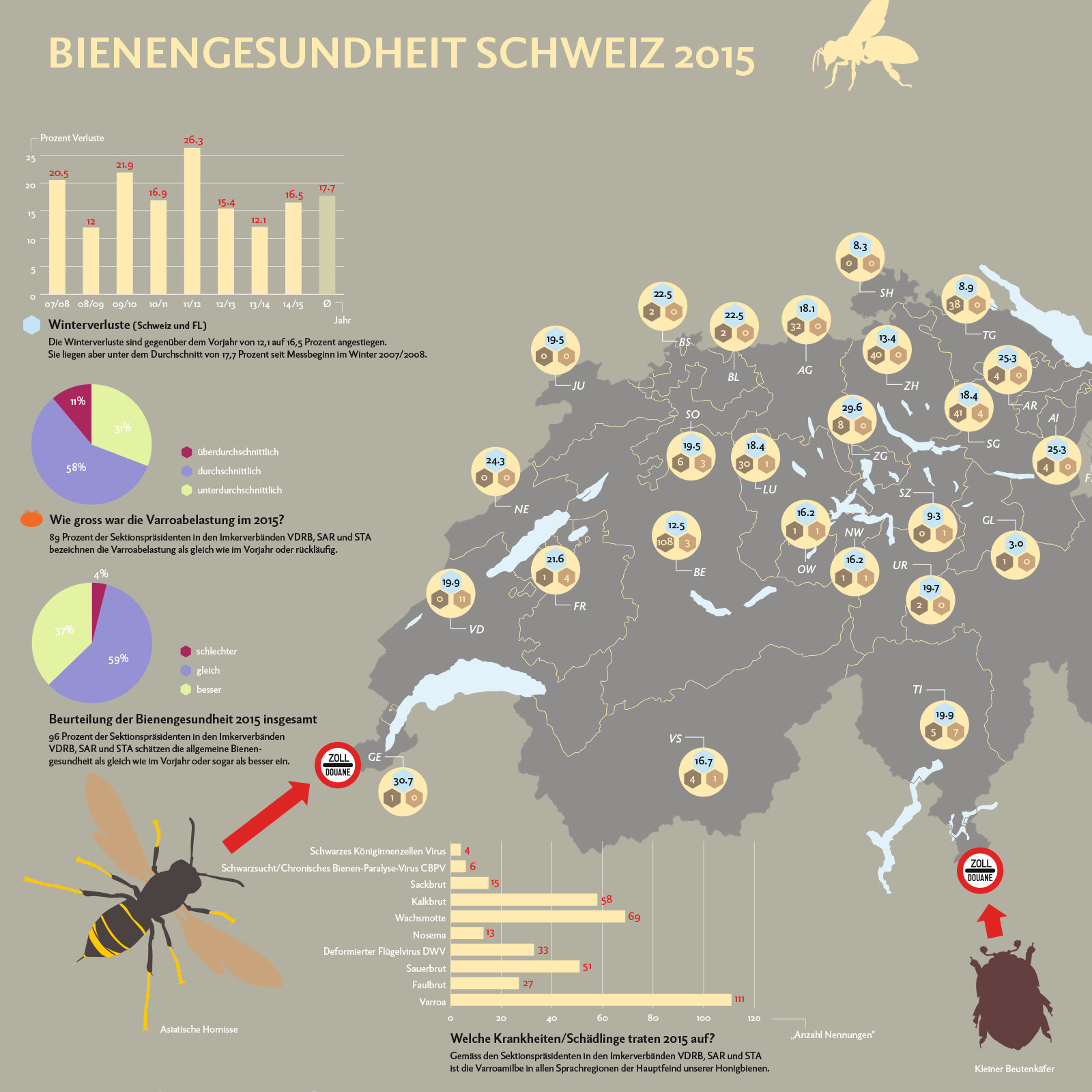 Infografik