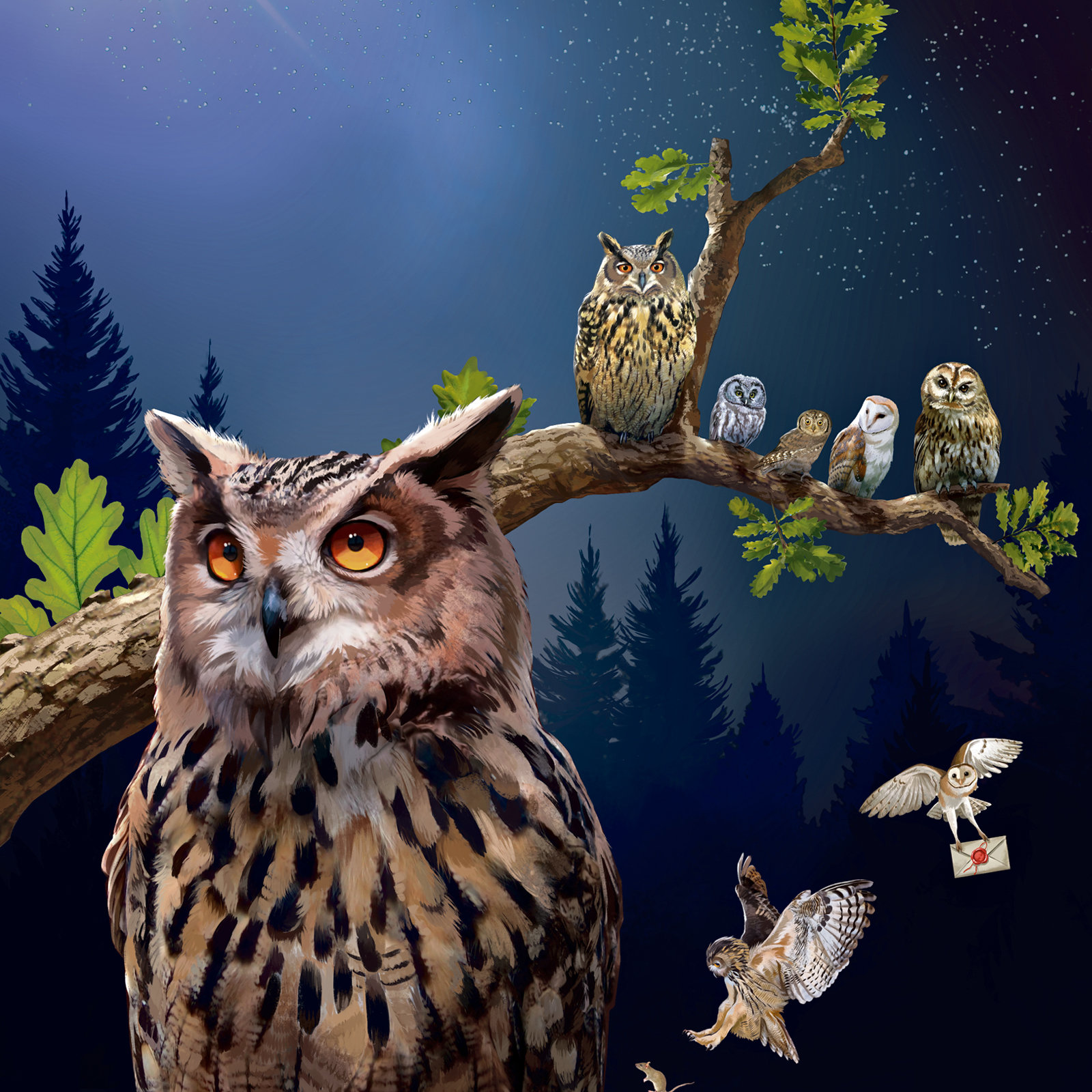 Hesch Gwüsst – Natur