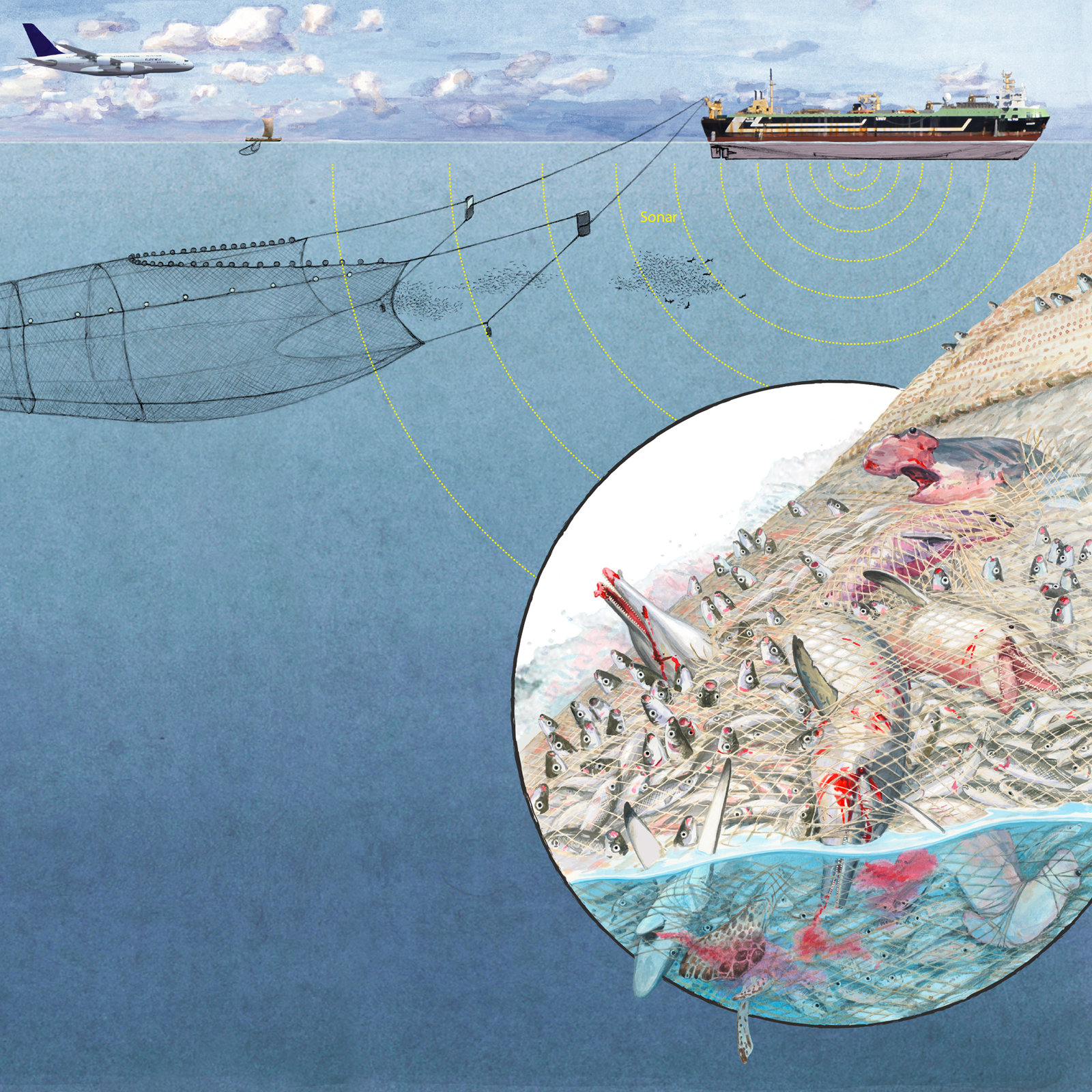 Infografik Supertrawler