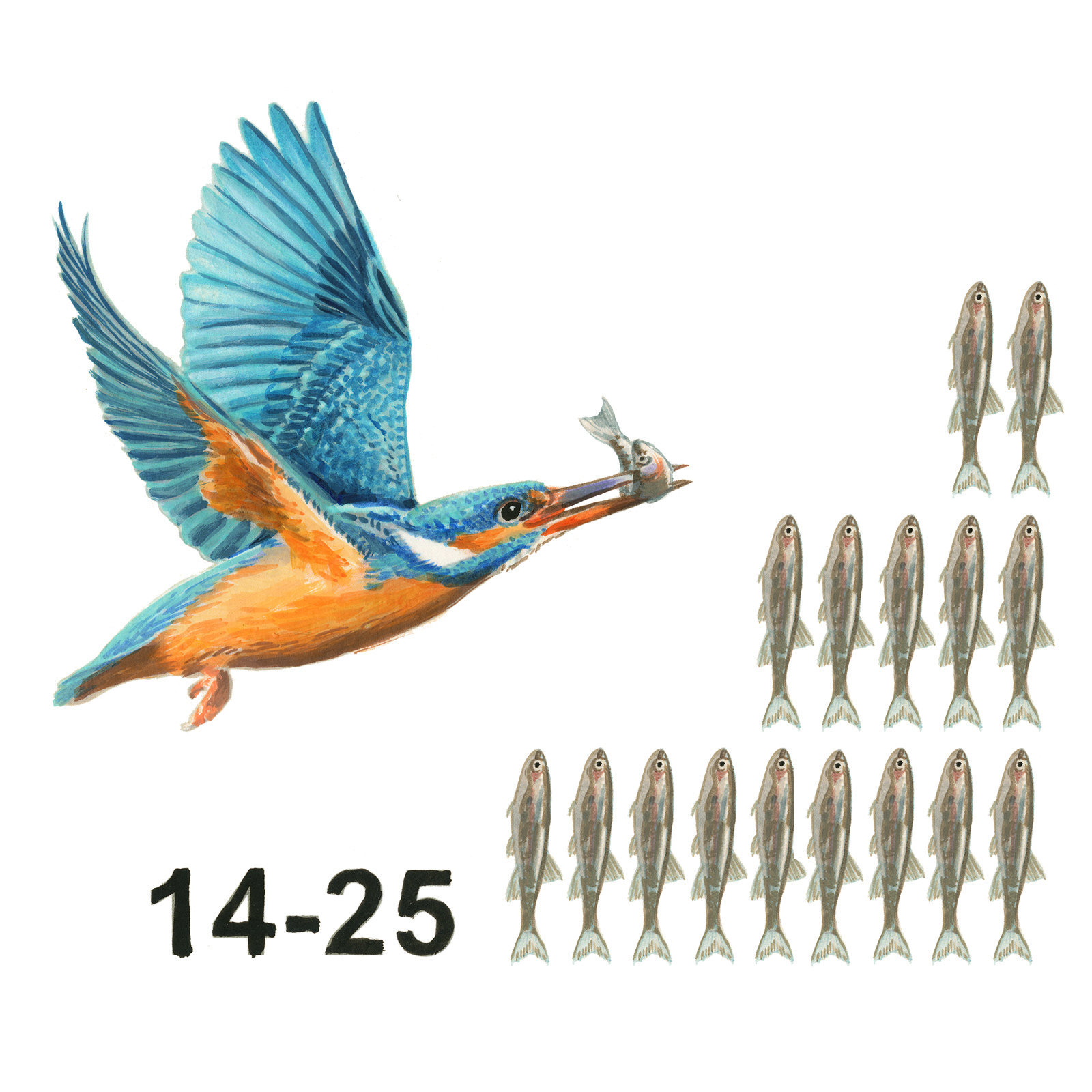 Infografik Lebensraum Gewässer