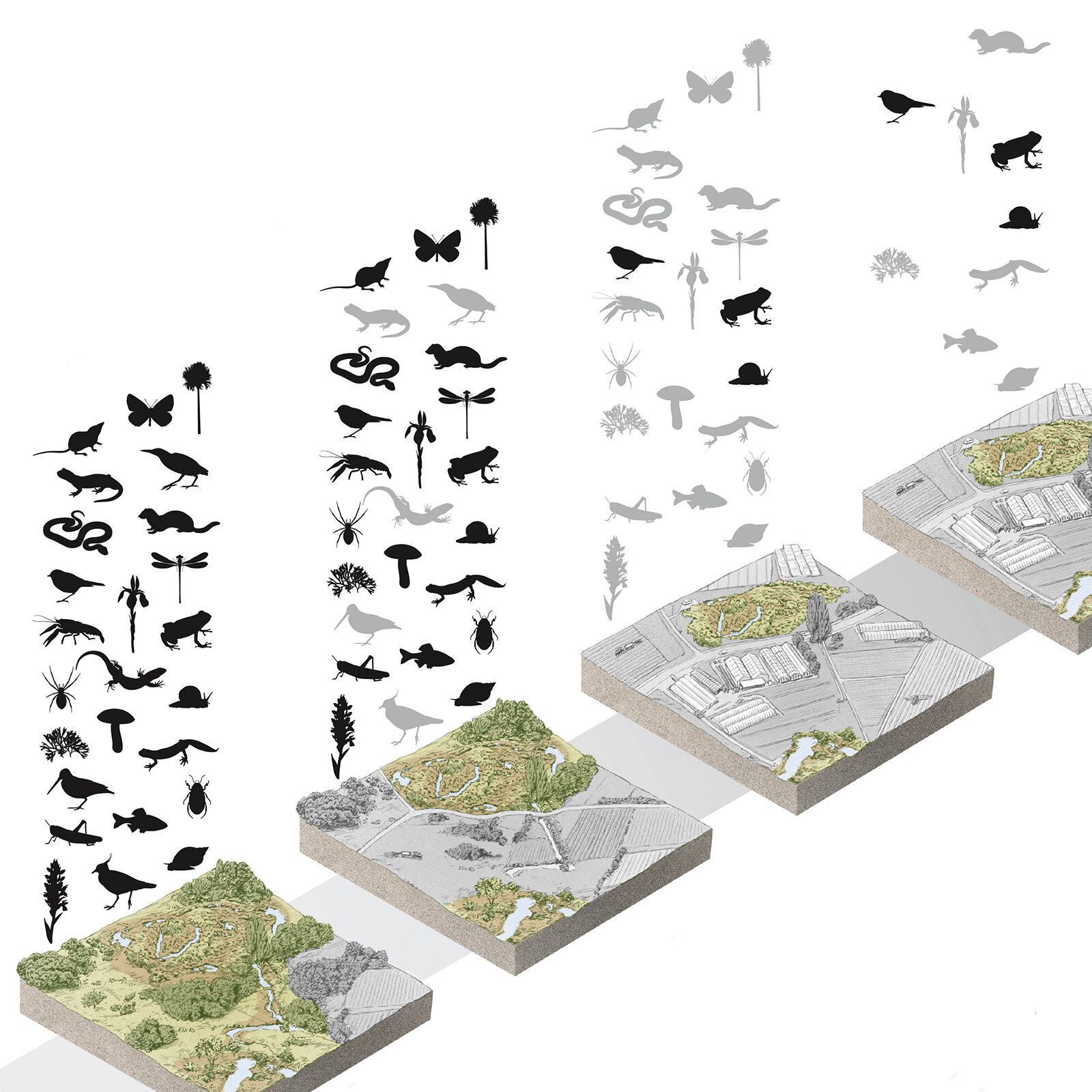 Infografik