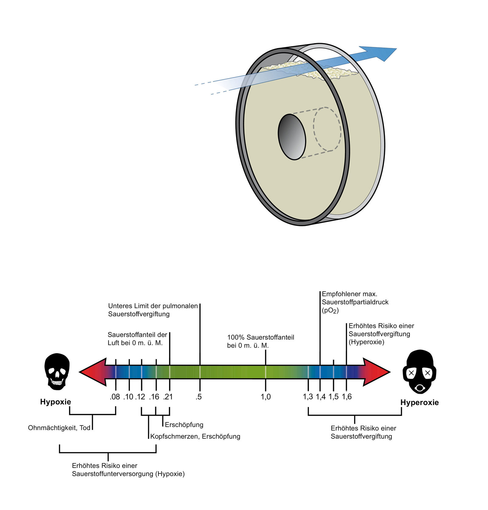 oculus-illustration-natur-rebreather-tauchen-kreislaufgeraeten-medizinische-aspekte-hypoxie-hyperoxie