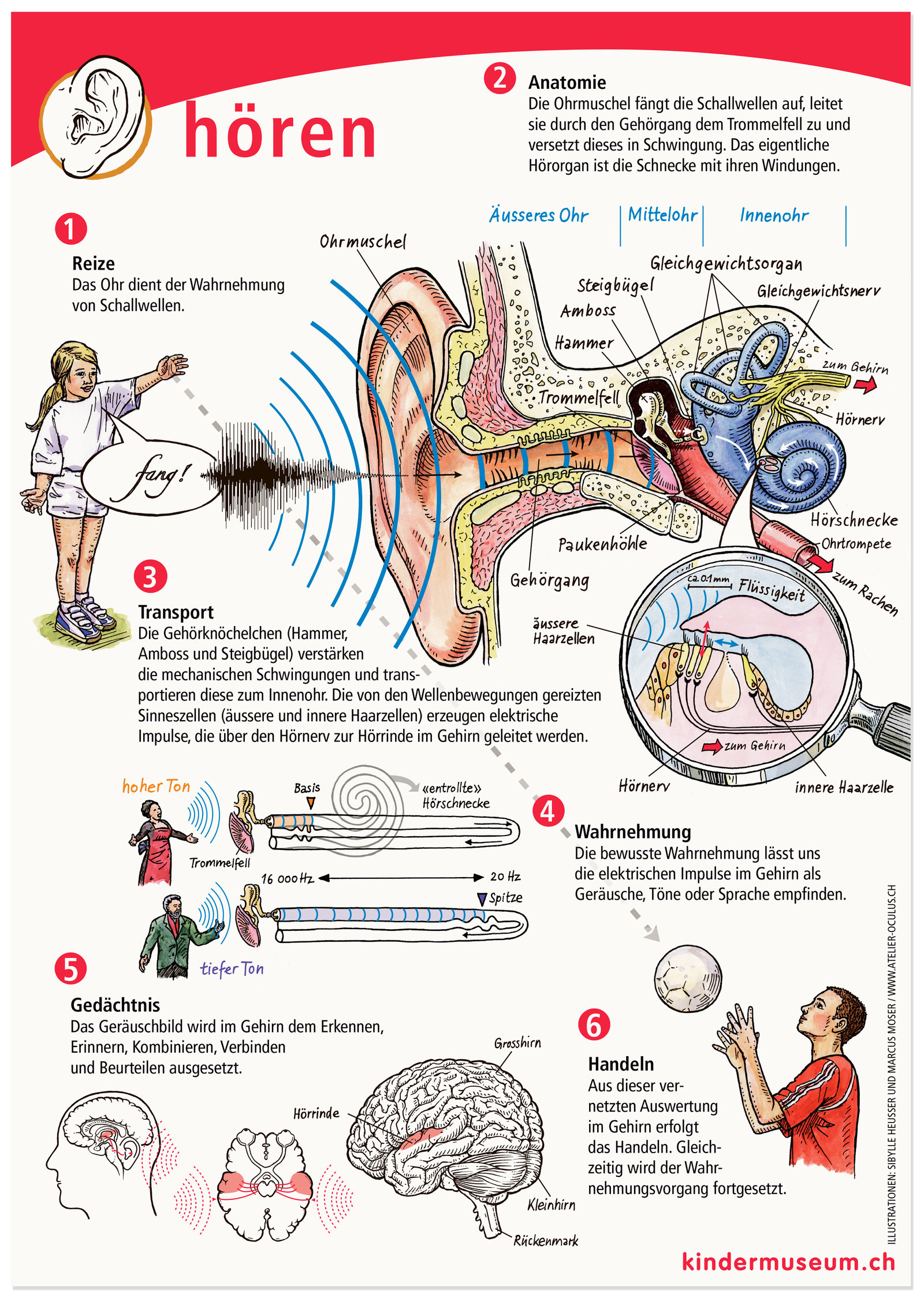 oculus-illustration-plakat-wahrnehmung-hoeren