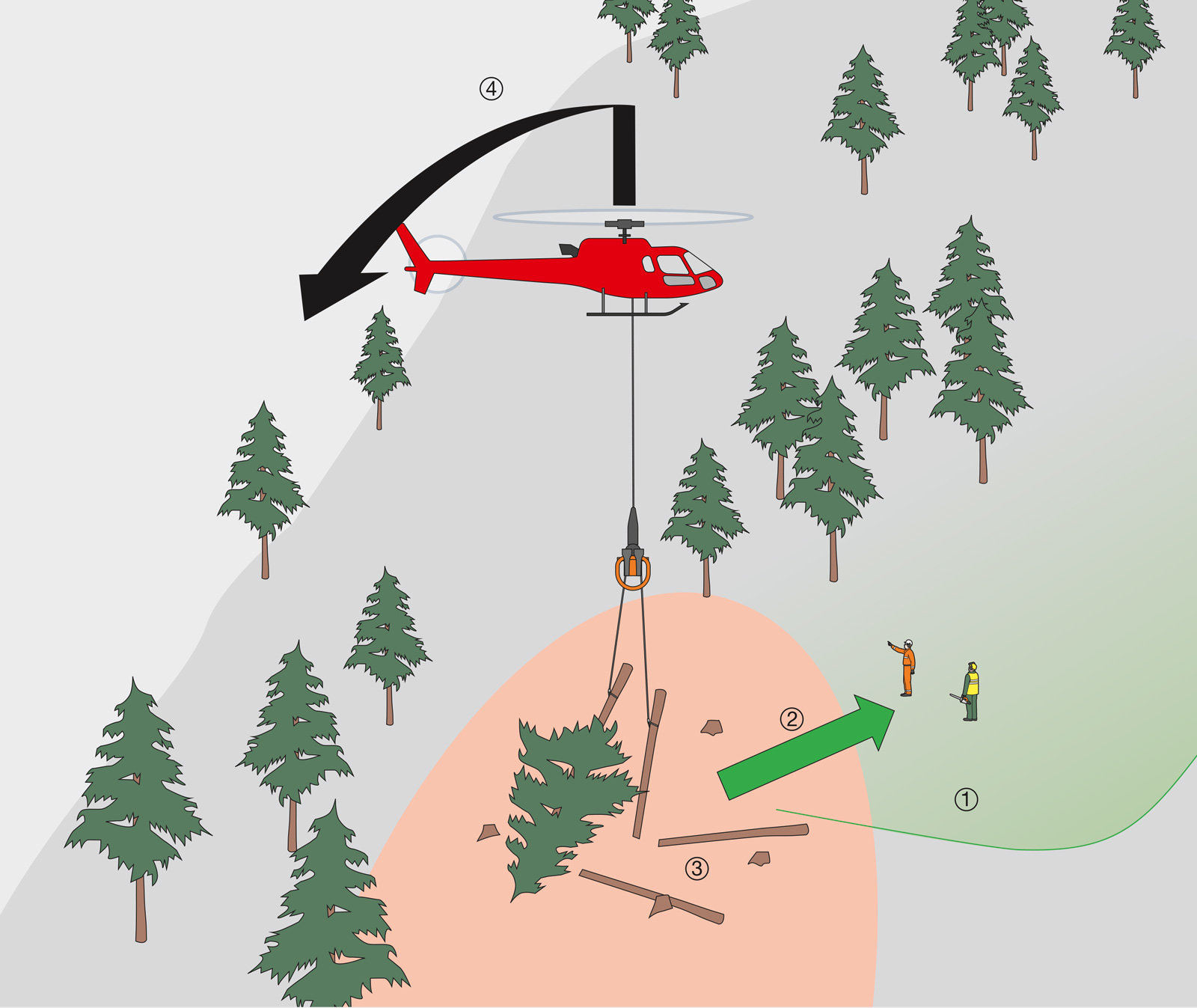 oculus-illustration-suva-forstwirtschaft-02