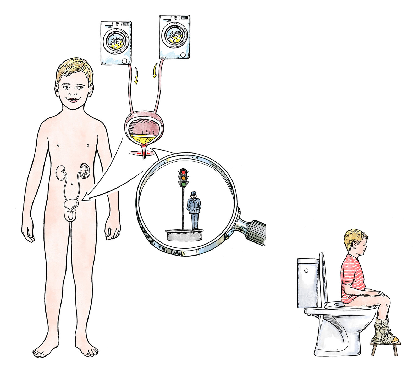 oculus-illustration-urologie-kinder-zeichnung-koerper-waschmaschine