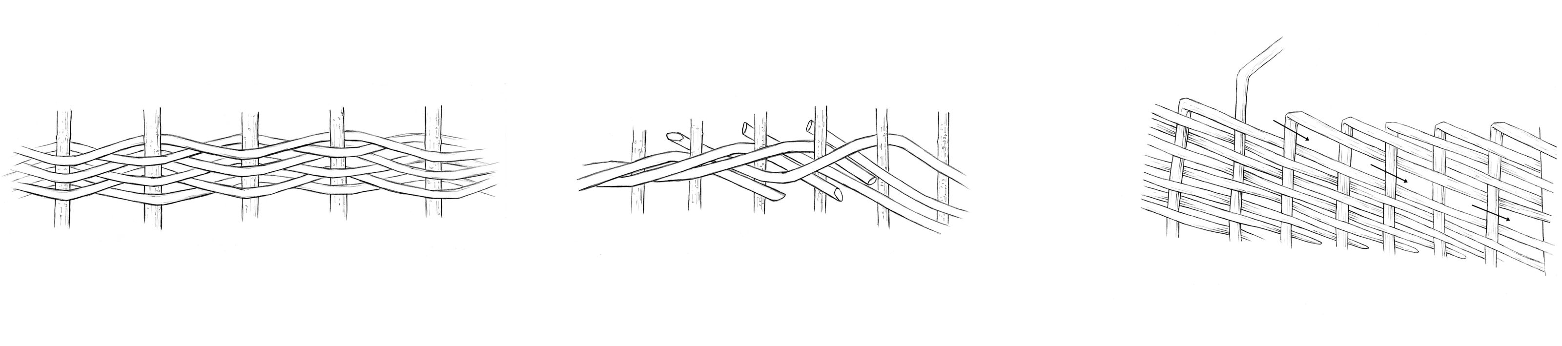 oculus-illustration-archaeologie-geflechte-zeichnung