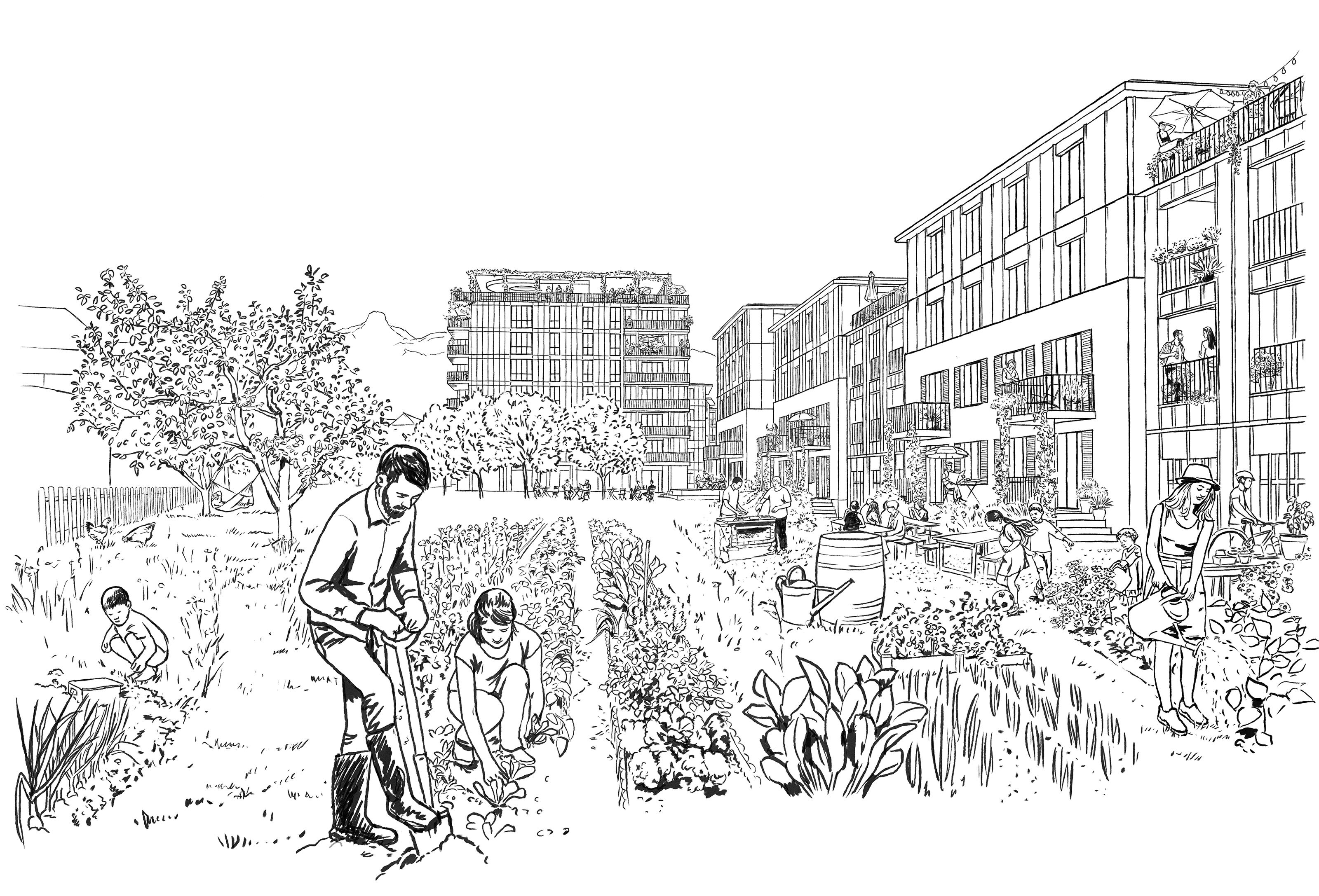 oculus-illustration-architektur-visualisierung-zeichnung-luna-siedlung-freistatt-thun-1