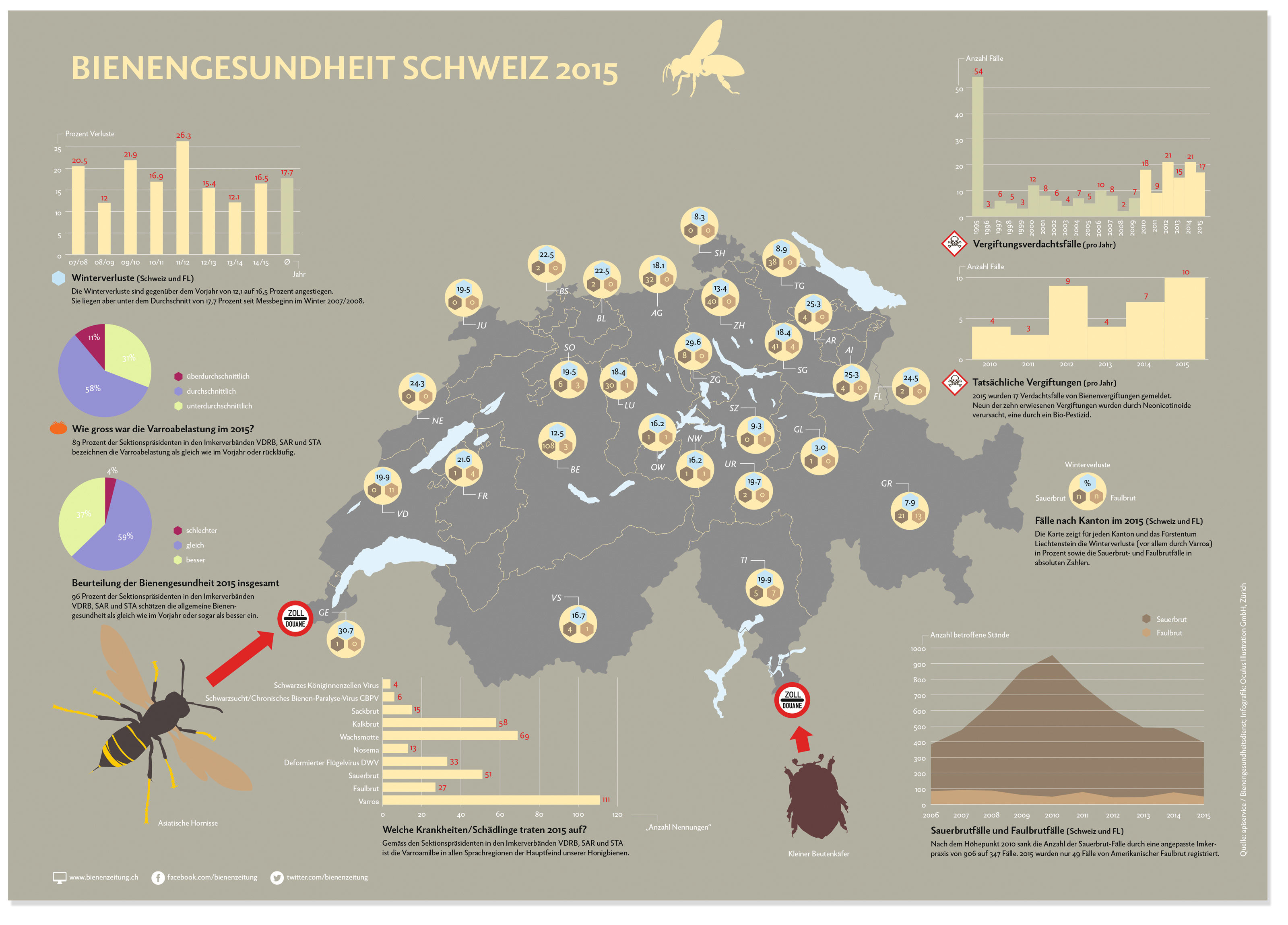 oculus-illustration-bienen-infografik-01