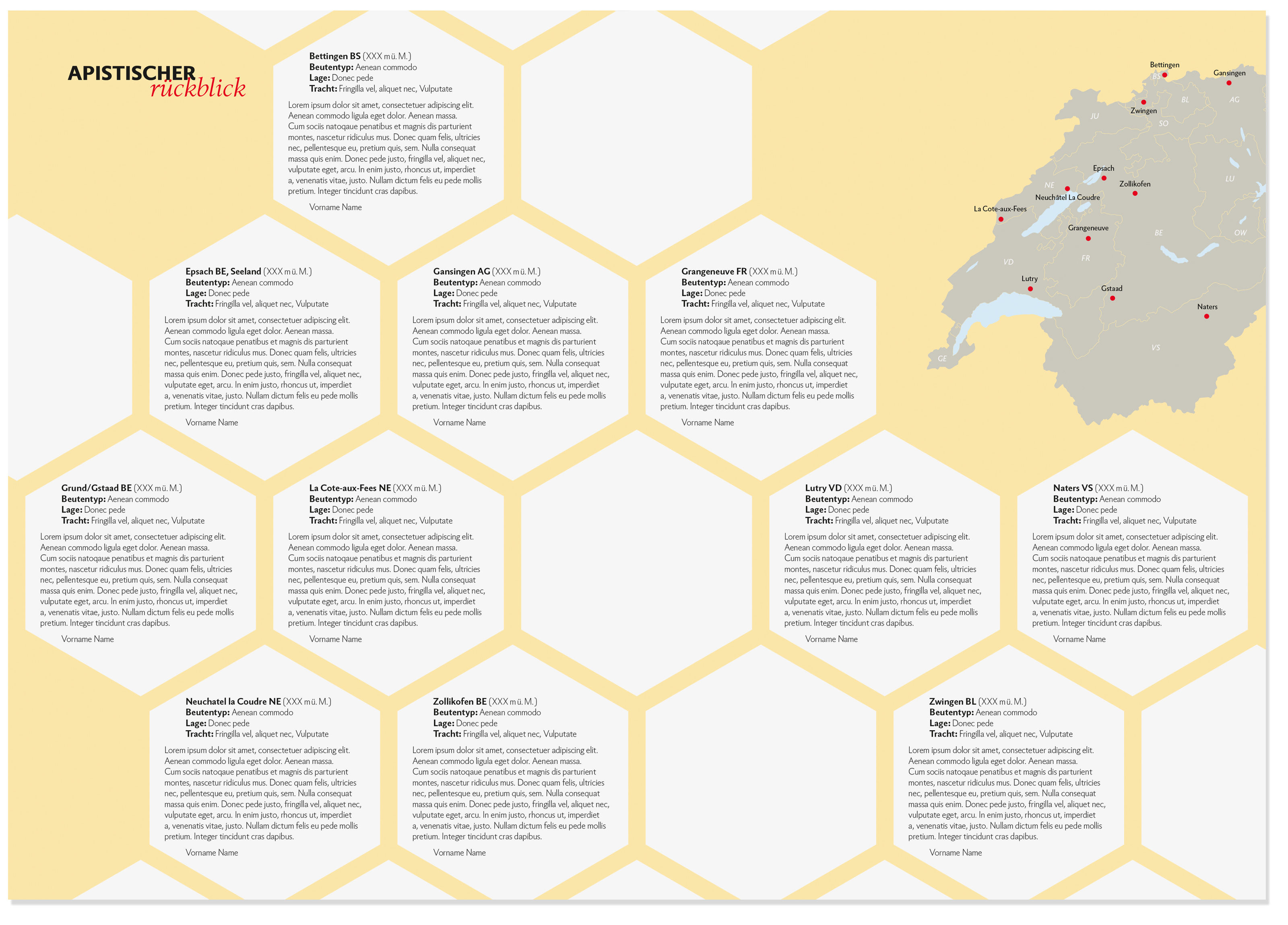 oculus-illustration-bienen-infografik-02
