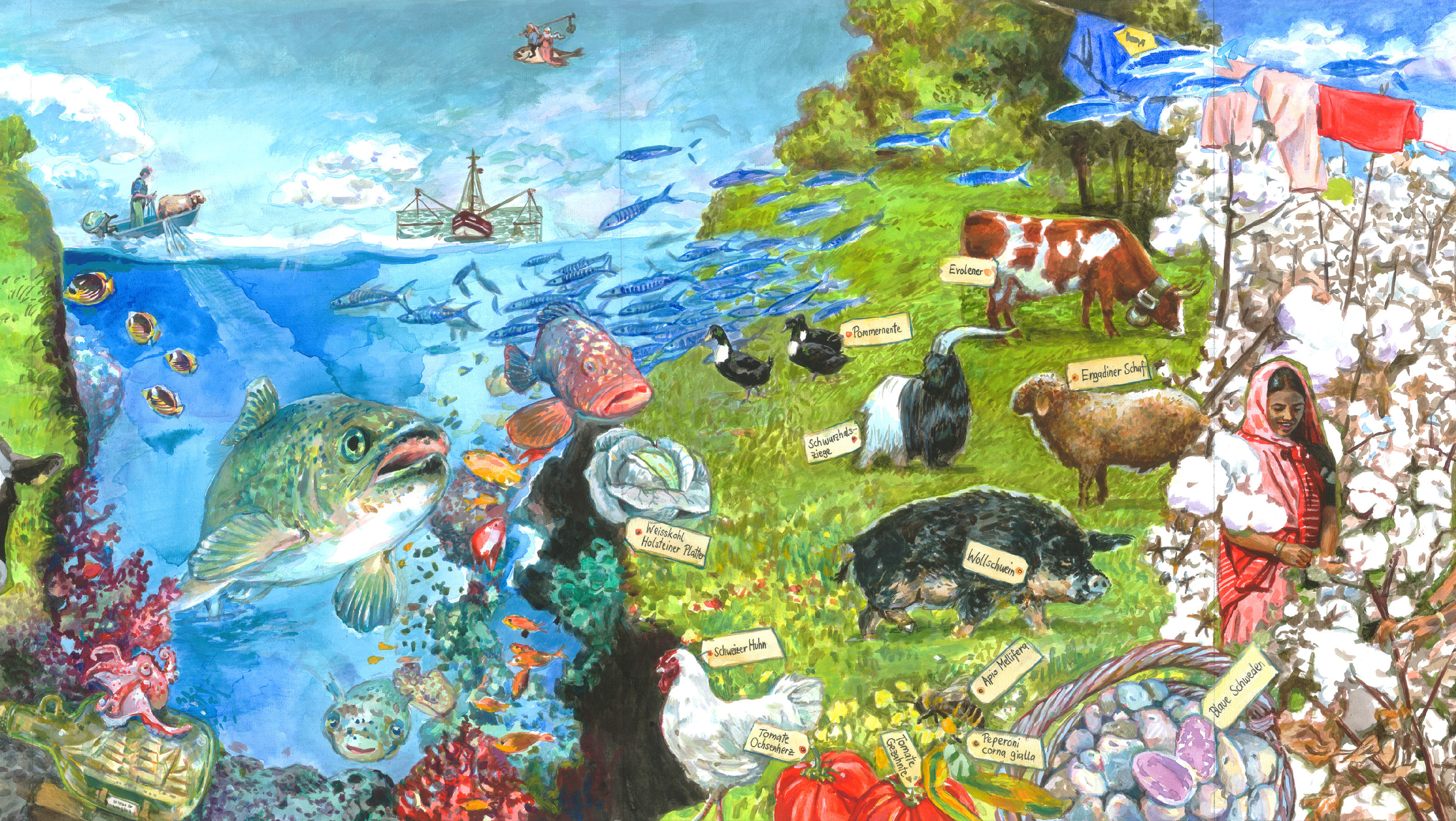 oculus-illustration-coop-visionen-nachhaltigkeit-gemaelde-fisch