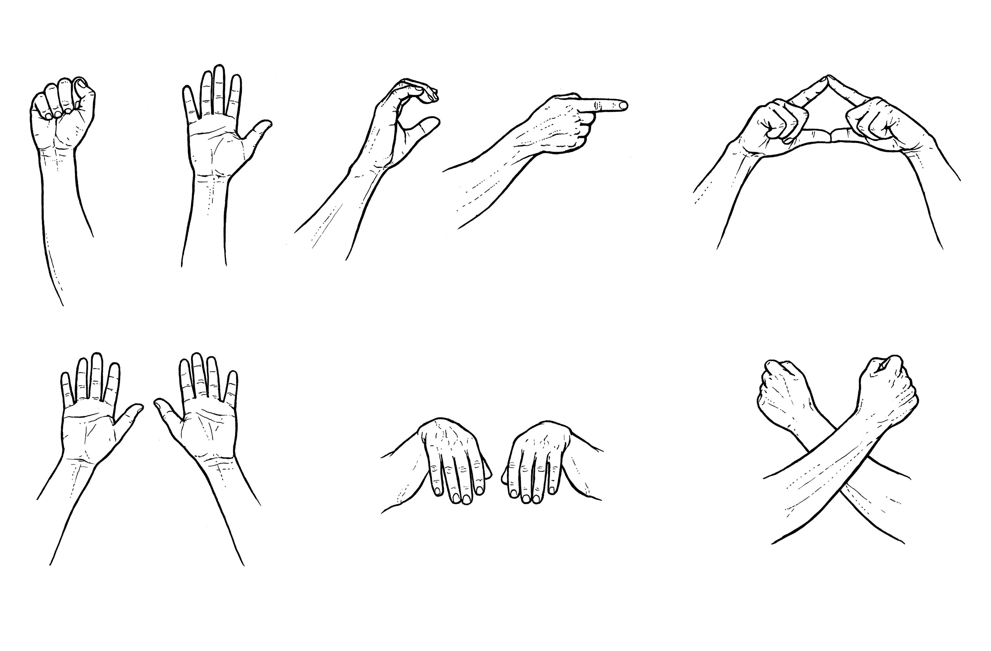 oculus-illustration-greenpeace-handbuch-zeichnung-haende