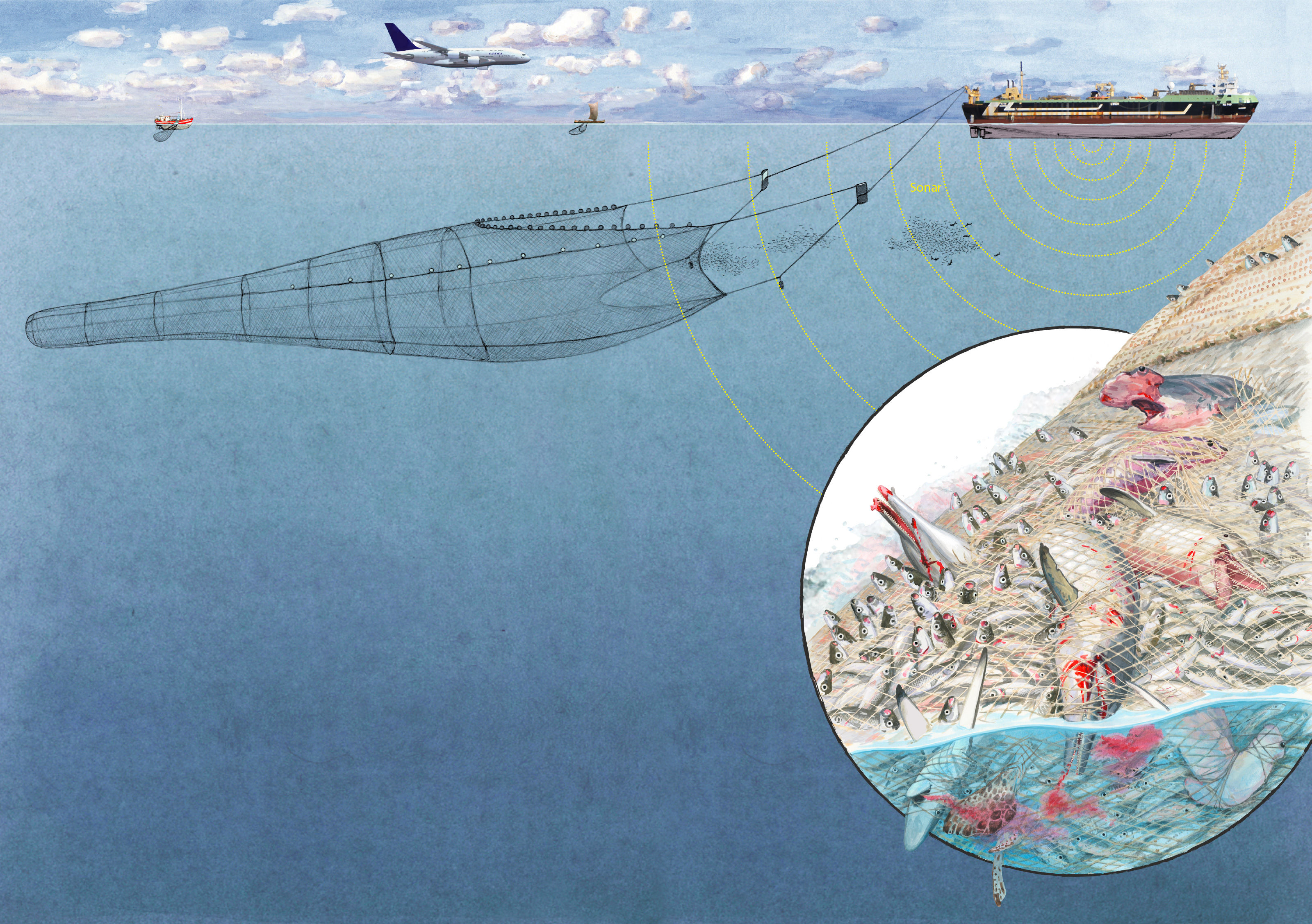 oculus-illustration-greenpeace-infografik-supertrawler-netz