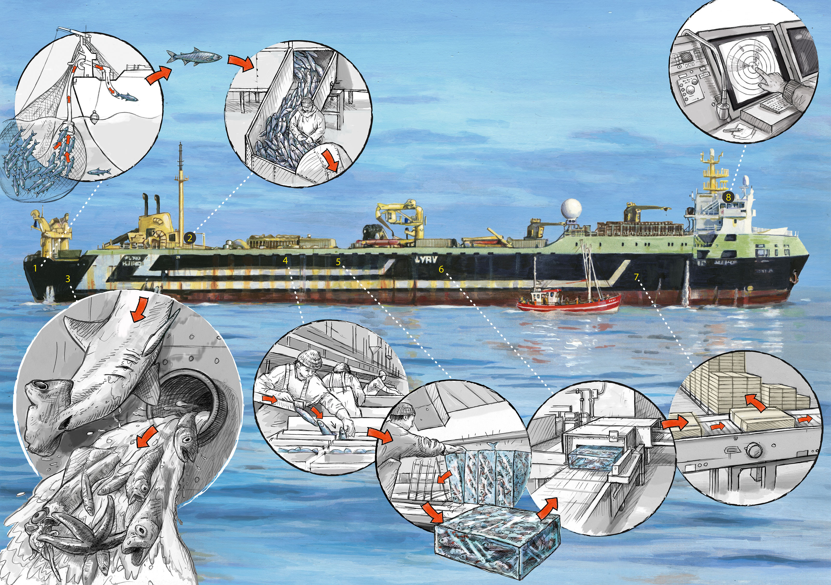 oculus-illustration-greenpeace-infografik-supertrawler-produktionsschritte