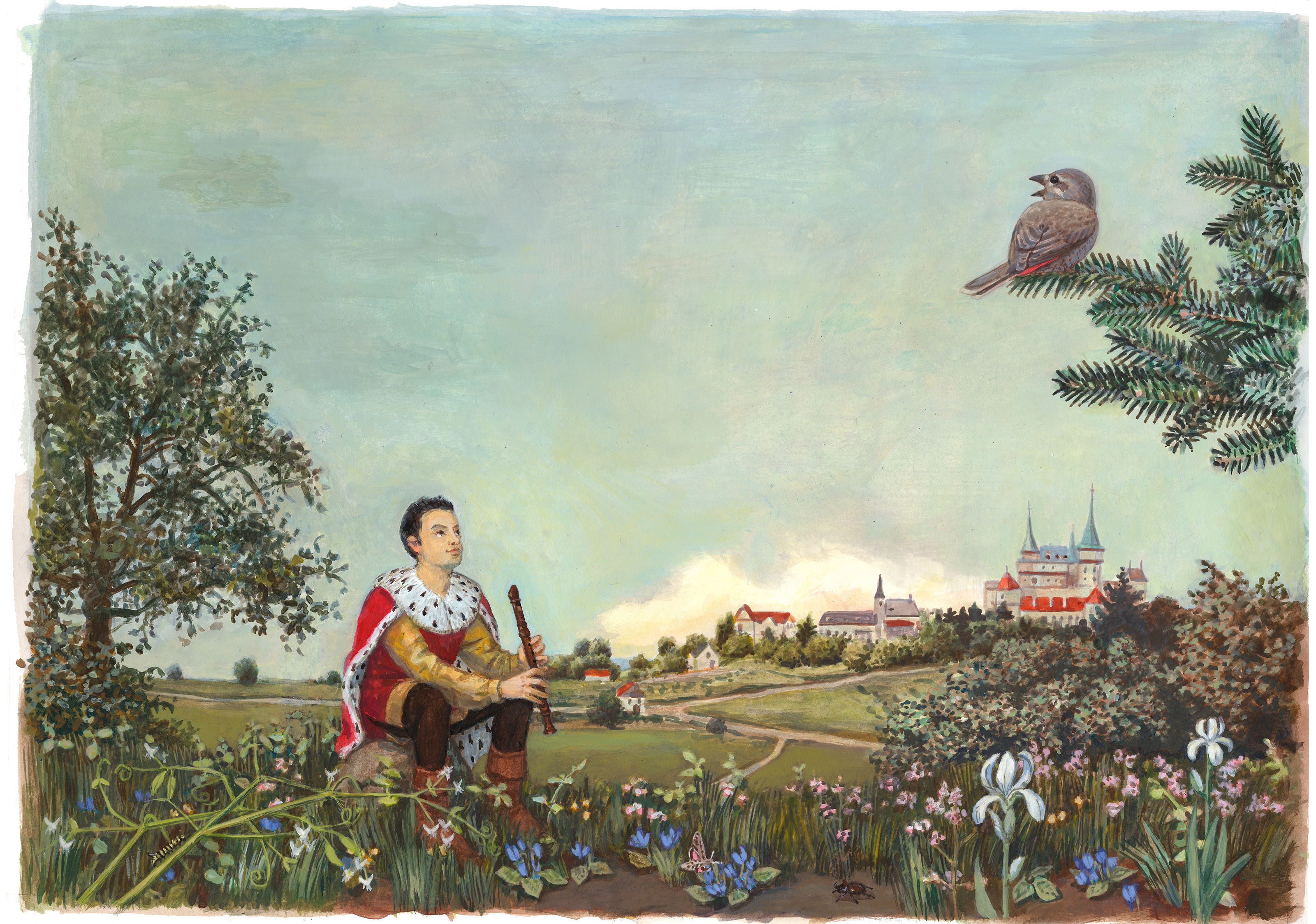 oculus-illustration-heusser-kinderbuch-tino-flautino-vogel