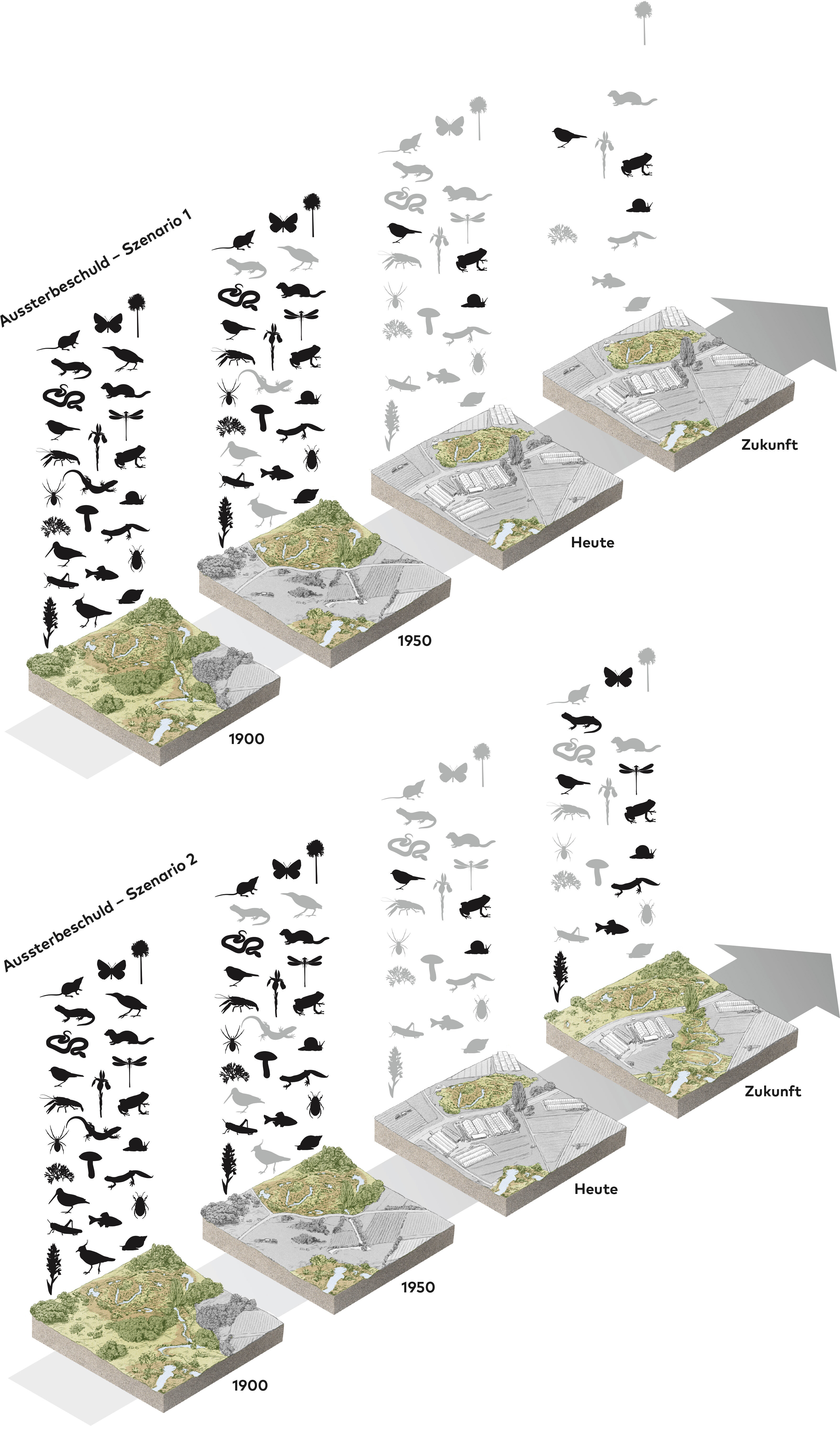 oculus-illustration-infografik-naturschutz-aussterbeschuld