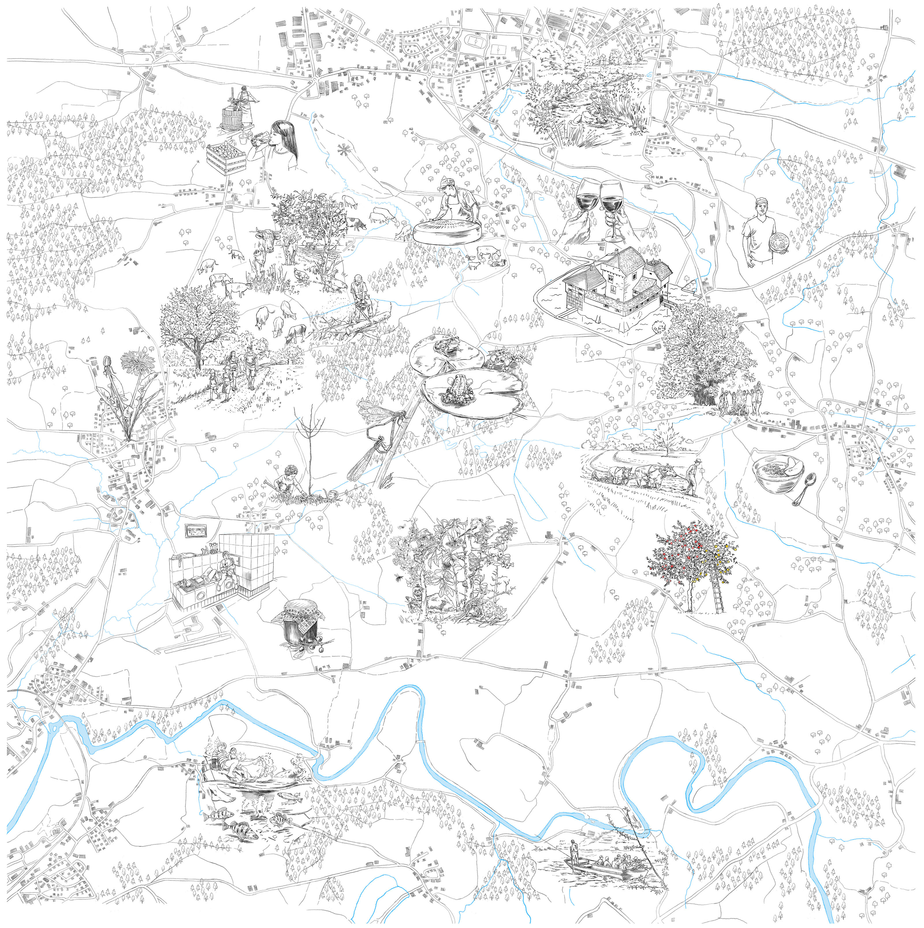 oculus-illustration-infotafeln-naturschutzgebiet-hudelmoos-thurgau-karte