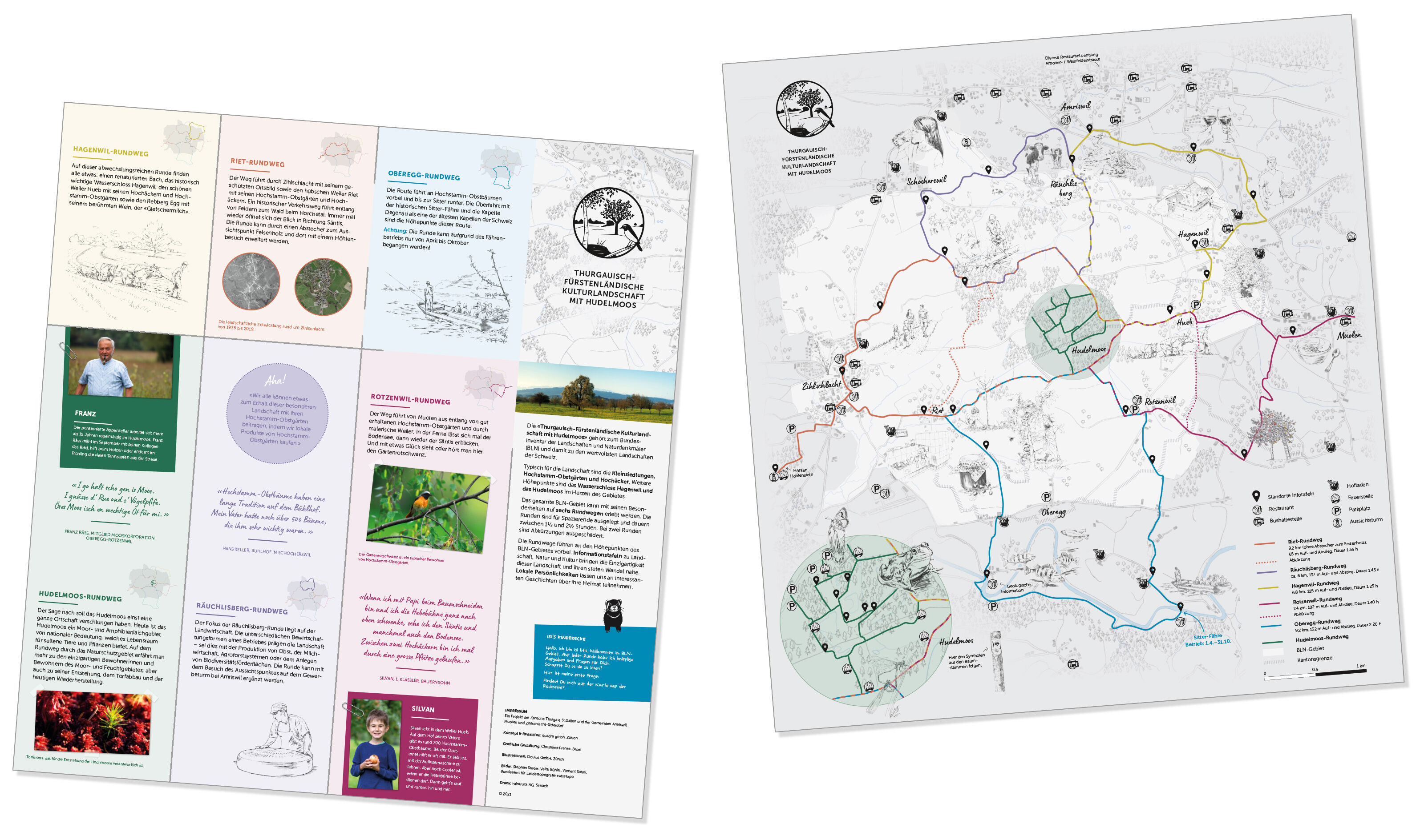 oculus-illustration-infotafeln-naturschutzgebiet-hudelmoos-thurgau-publikation