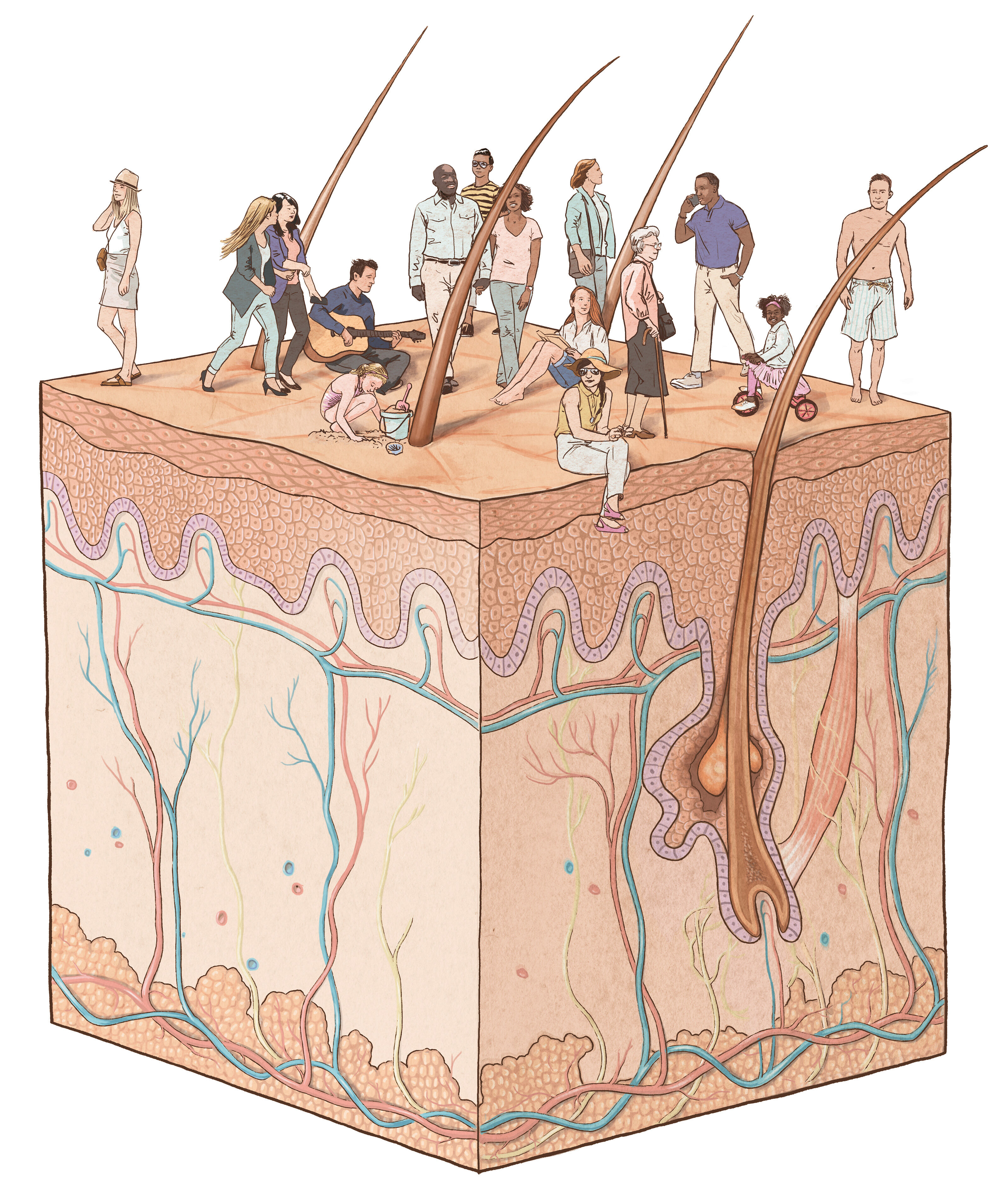 oculus-illustration-medizin-universitaetsspital-magazin-haut-infografik