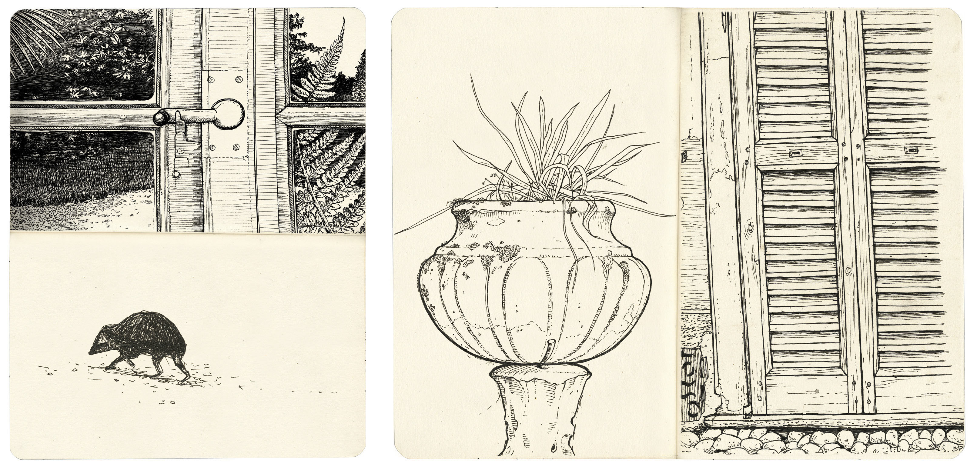 oculus-illustration-skizzen-pastori-fenster