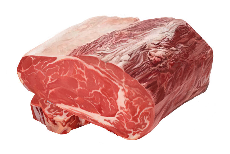 oculus-illustration-bianchi-beef-cuts-plakat-entrecote