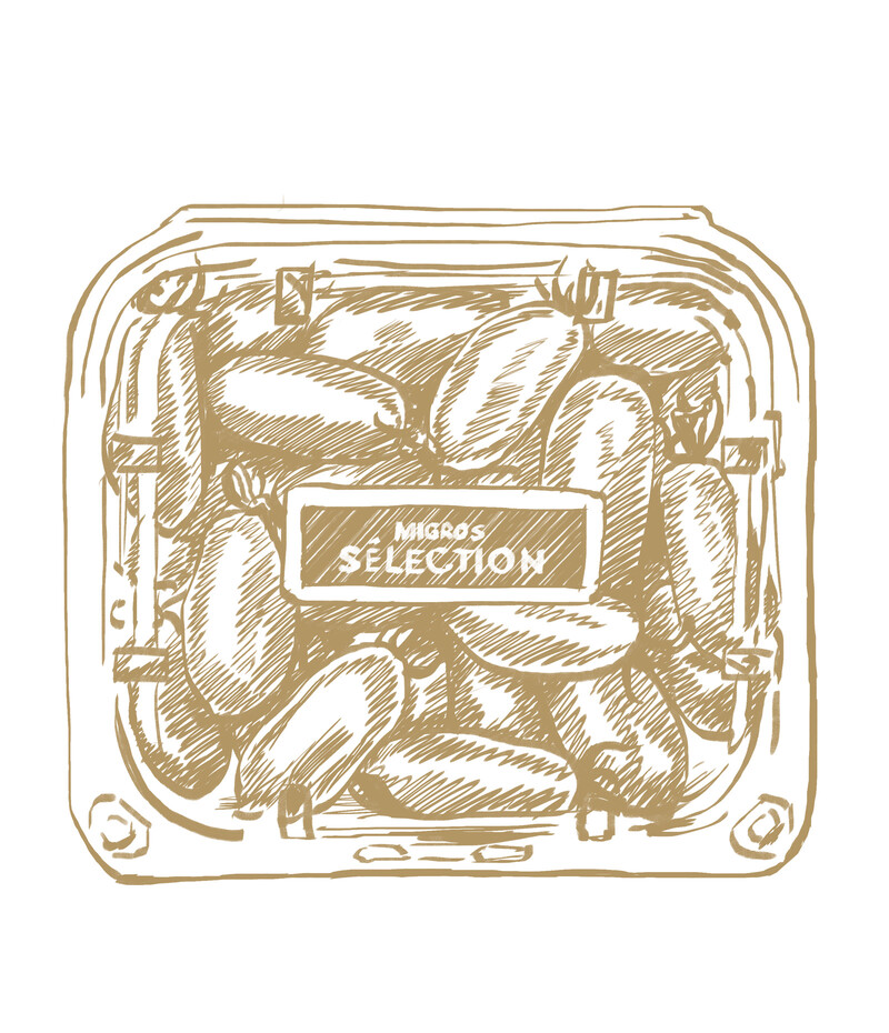 oculus-illustration-migros-selection-produkt-6